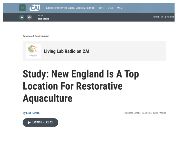 Screen Shot 2025-06-18 at 3.02.49 PM.png