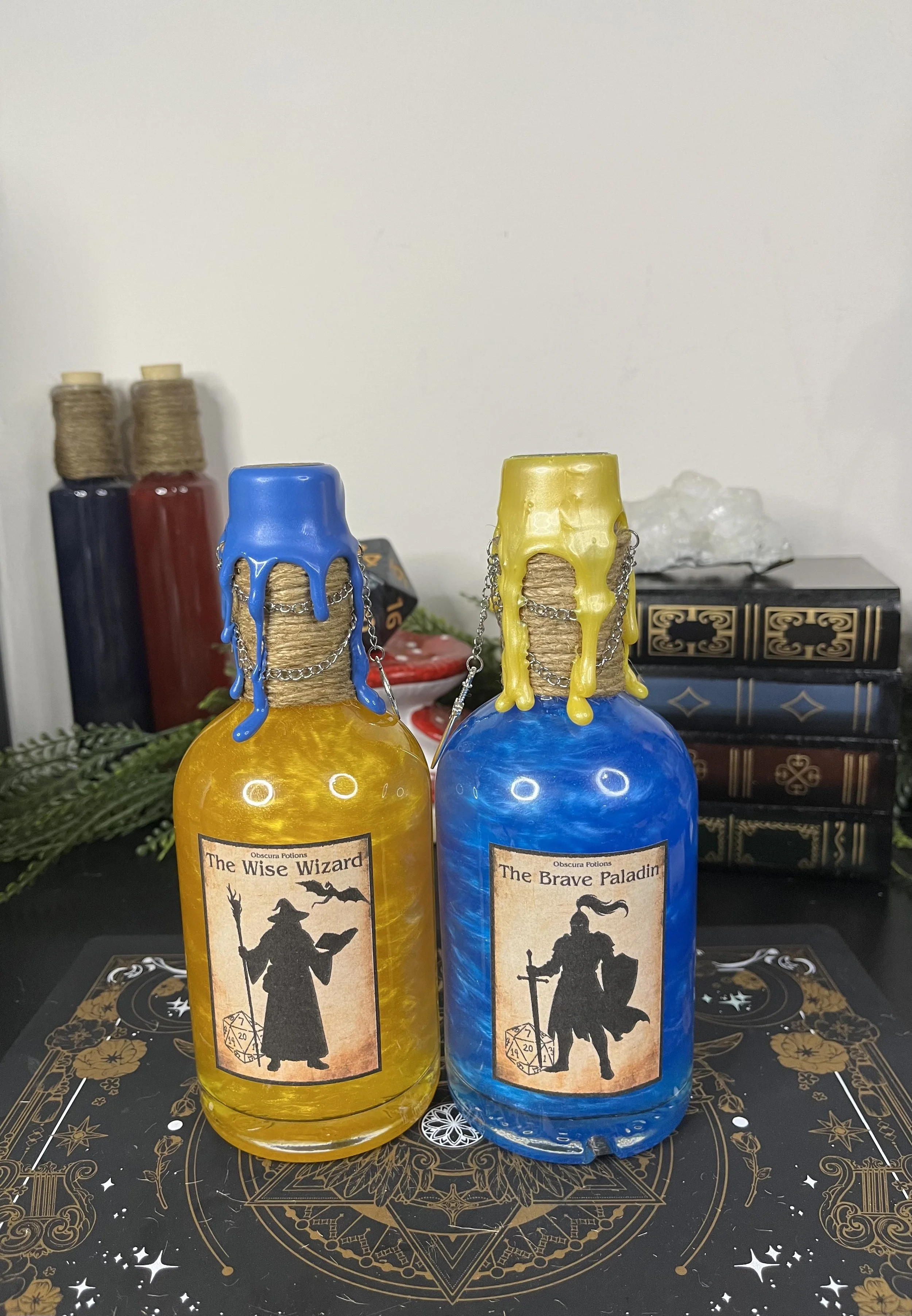 The Wise Wizard & The Brave Paladin