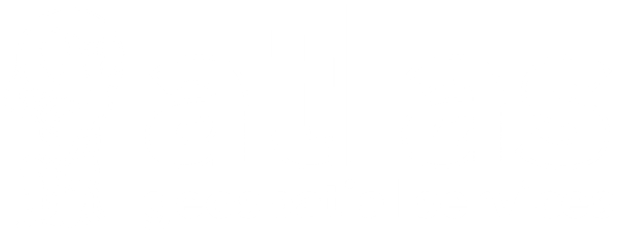Atlas Geospatial Services