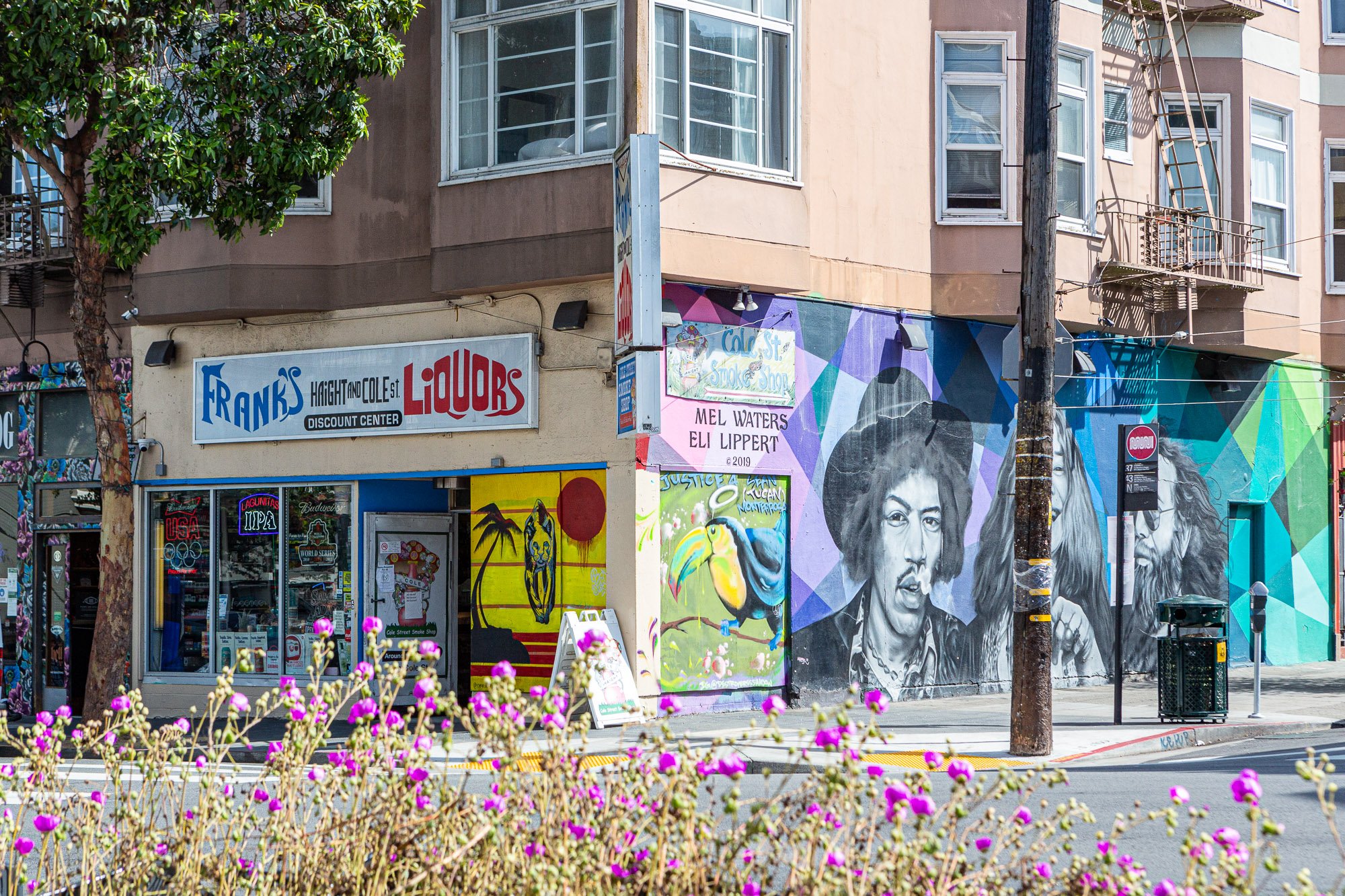 Street corner featuring Frank's Liquors with colorful murals and street art on the walls, including portraits and vibrant designs. Purple flowers are in the foreground.