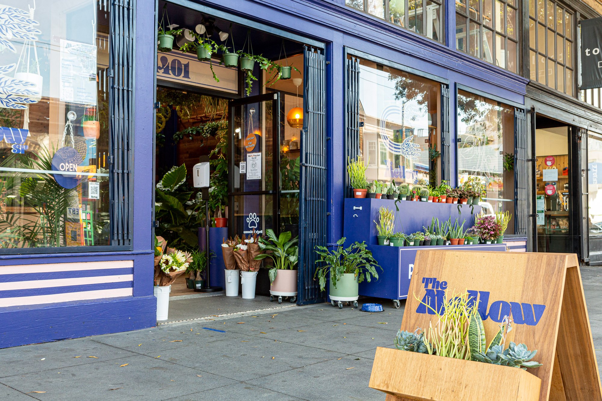 Outdoor view of a plant shop with a variety of potted plants and flowers displayed at the entrance, blue and pink striped facade, and an open door with indoor greenery visible.