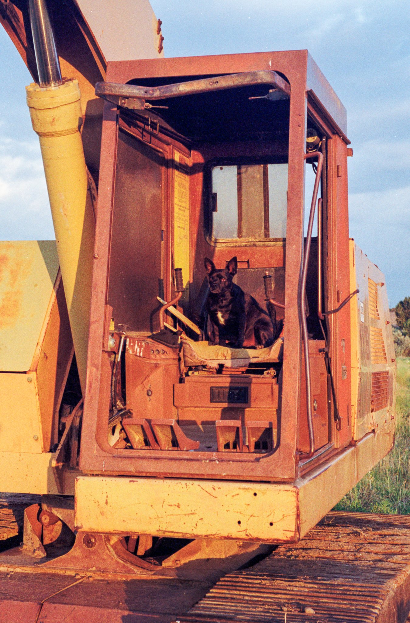 Alo and Tractor-1.jpg