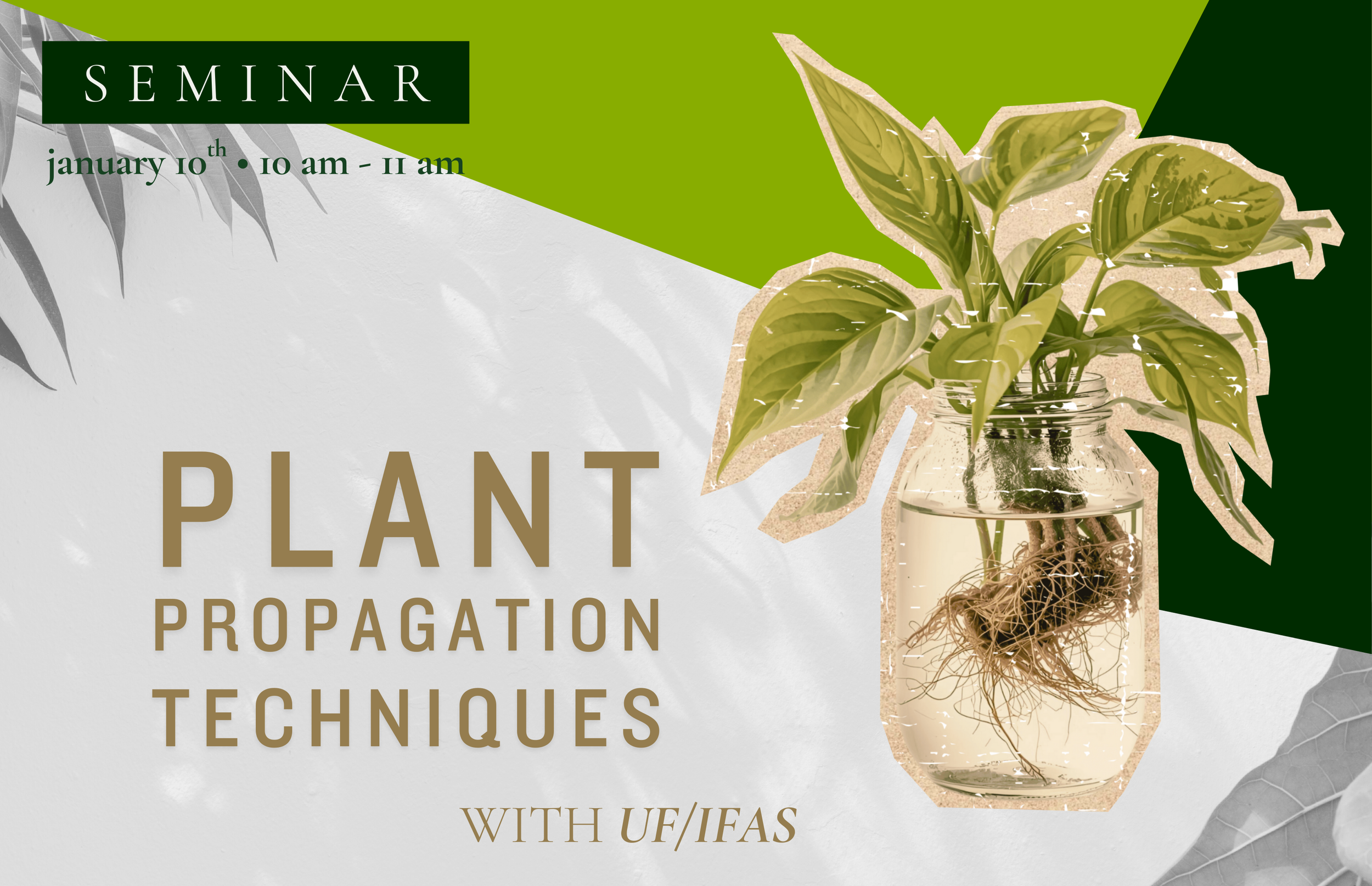 Plant Propagation Techniques