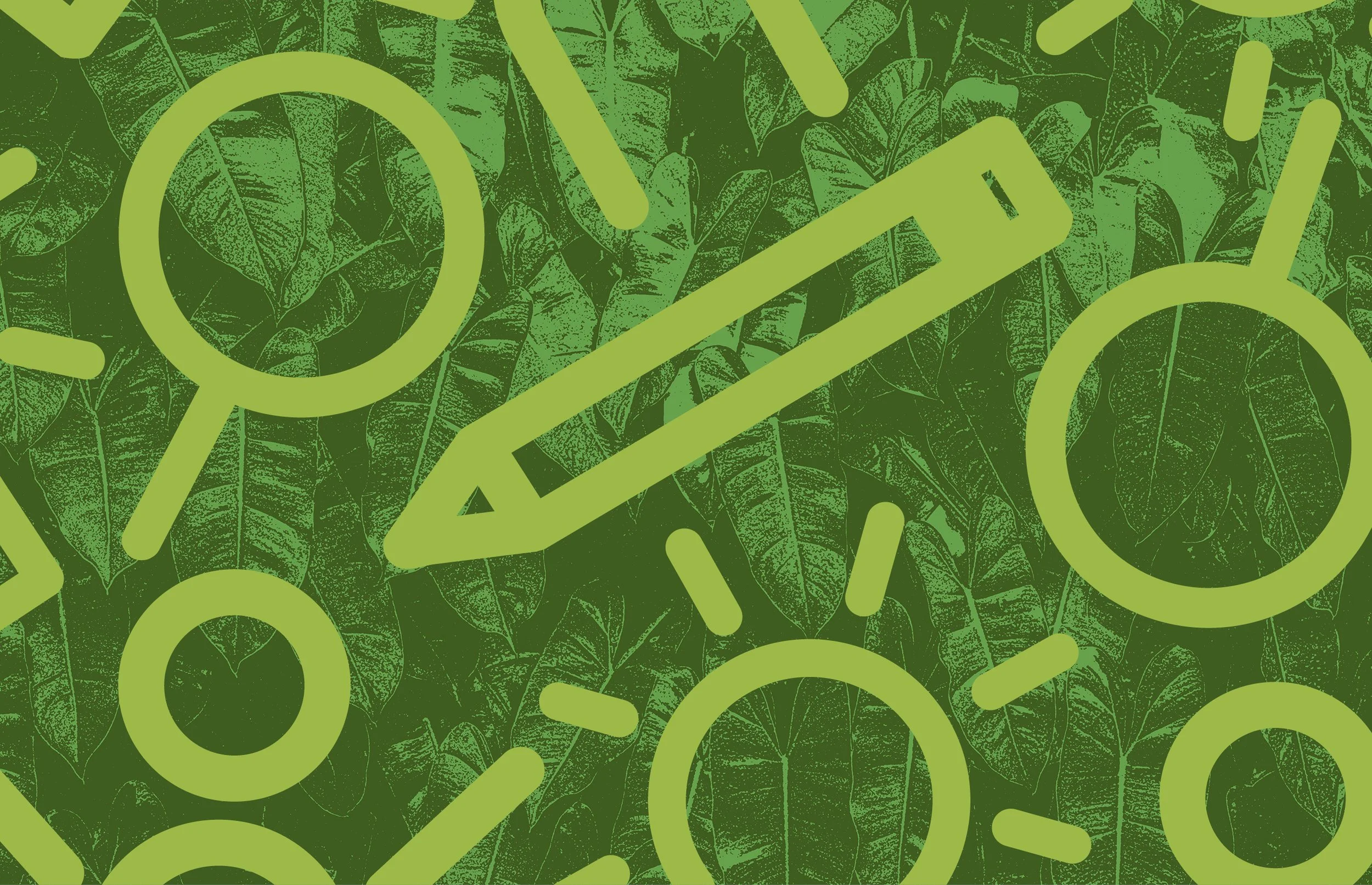 Family Day Mash-Up: Discovering Design Meets Nature in Community