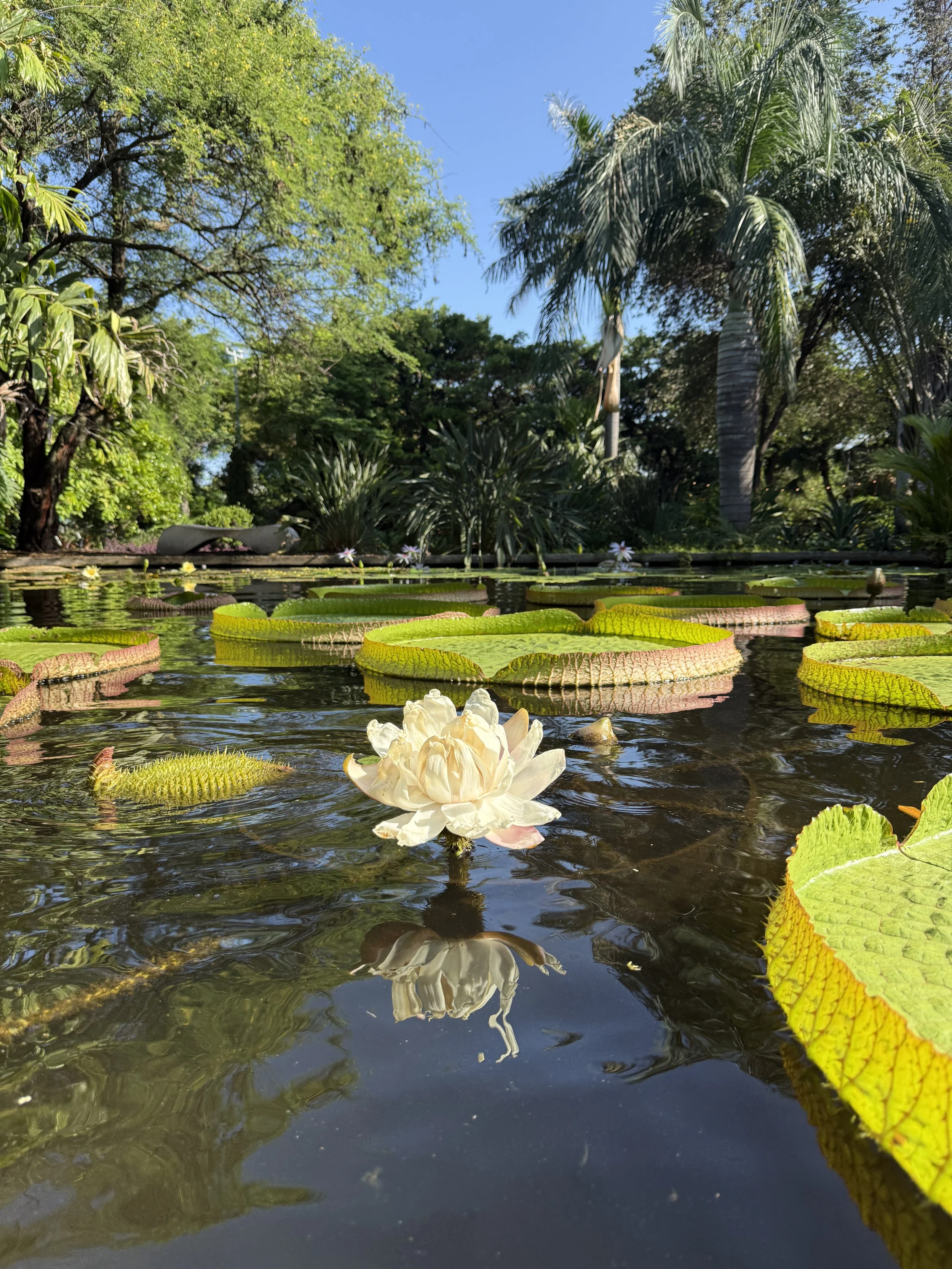 Miami Beach Botanical Garden School Visits photo from the official site