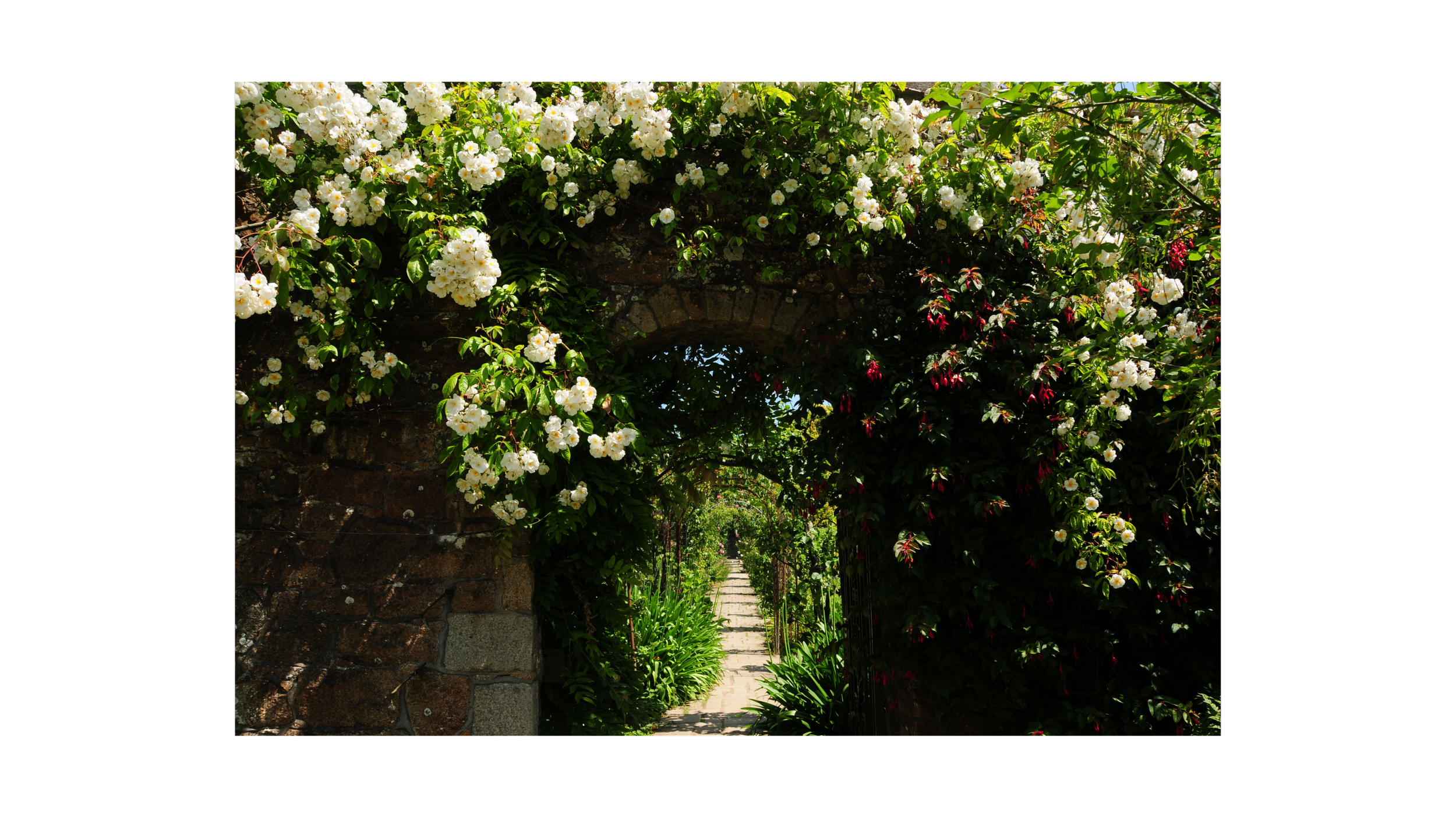 Secret Garden Society Membership