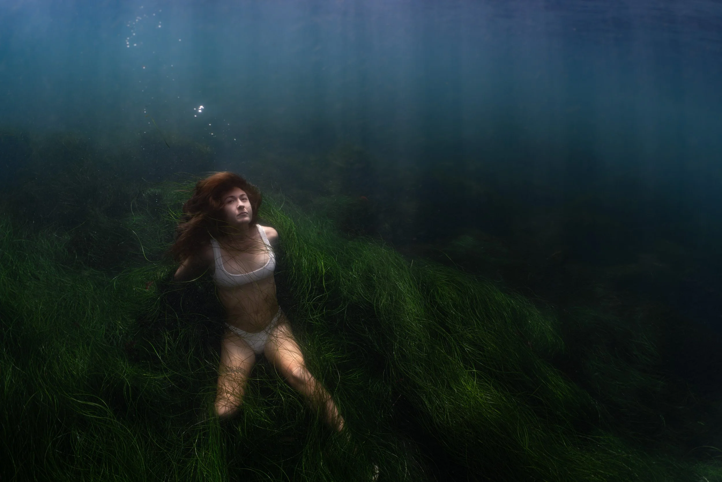 Underwater Portraits in La Jolla: Free Diving in The Cove