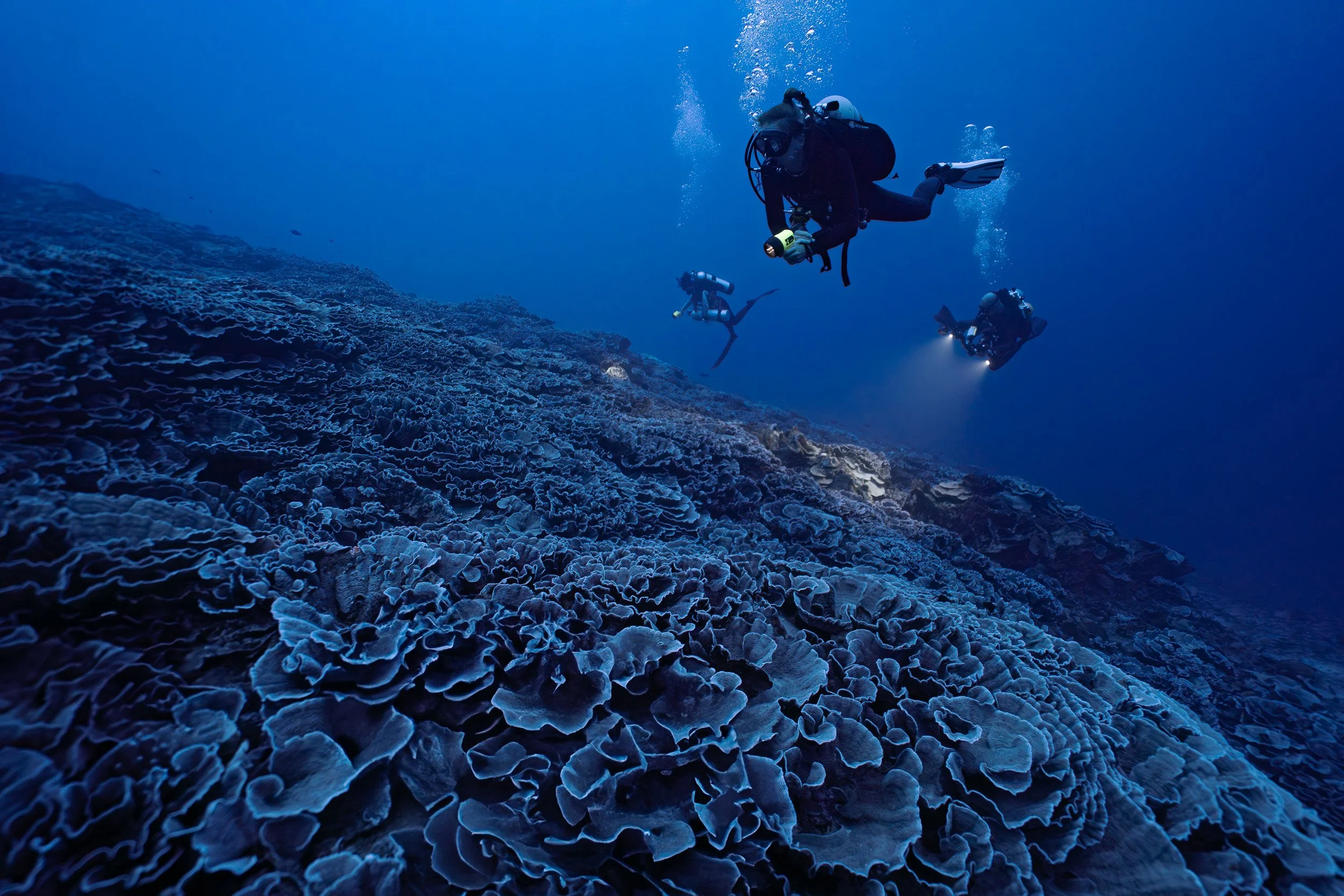Technical Diving in Rarotonga: Exploring Mesophotic Reefs in the Cook Islands