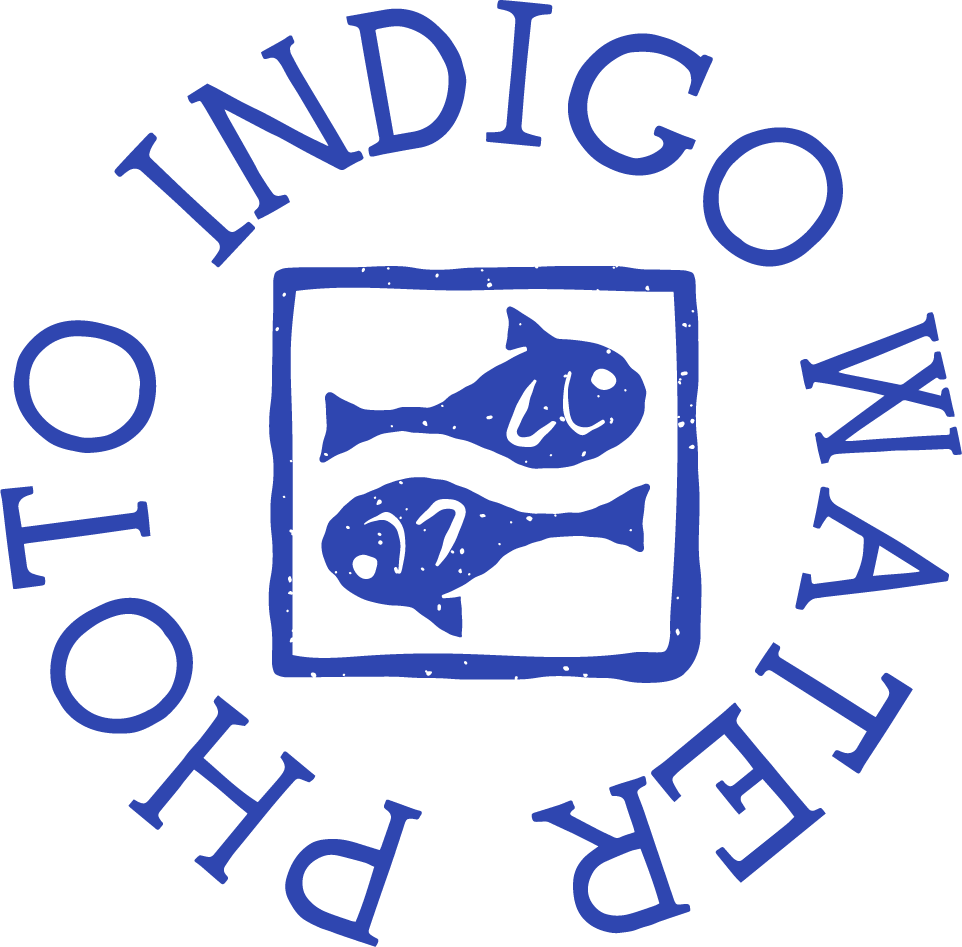 Indigo Water Photography