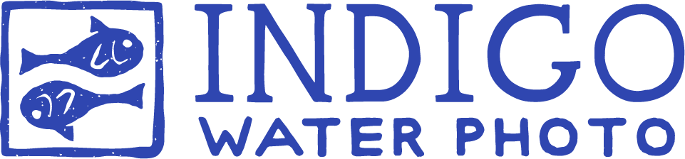 Indigo Water Photography