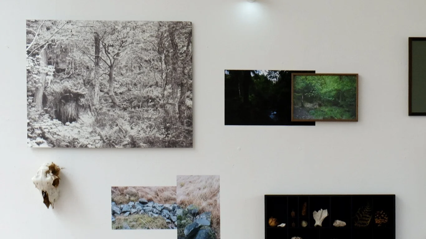 gallery_fourteen.jpg