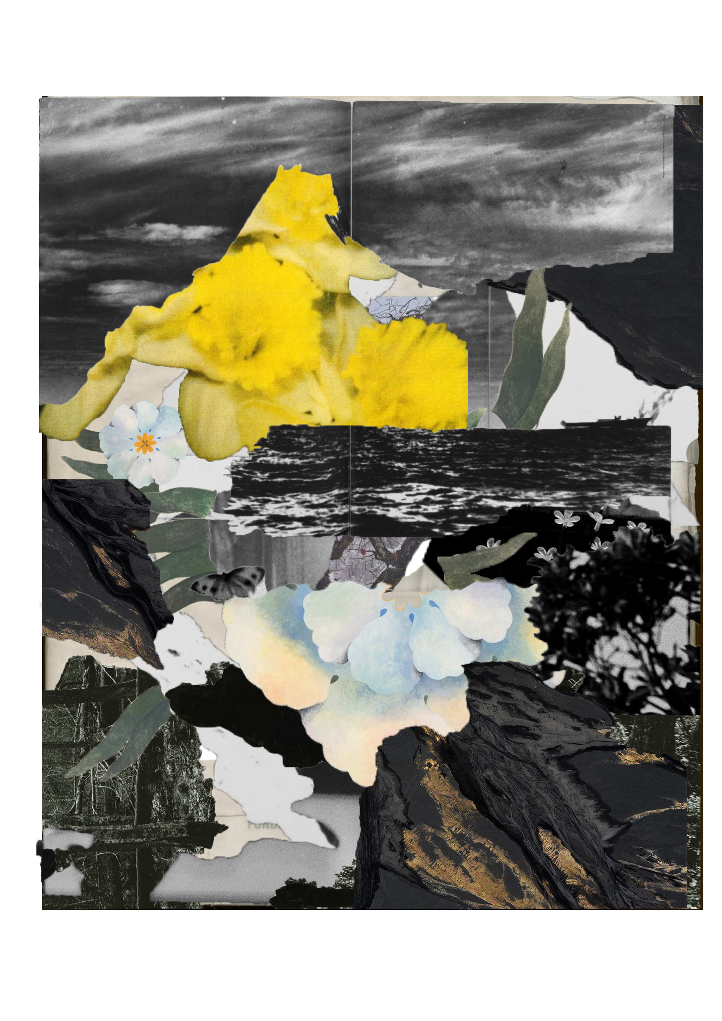 image0.png