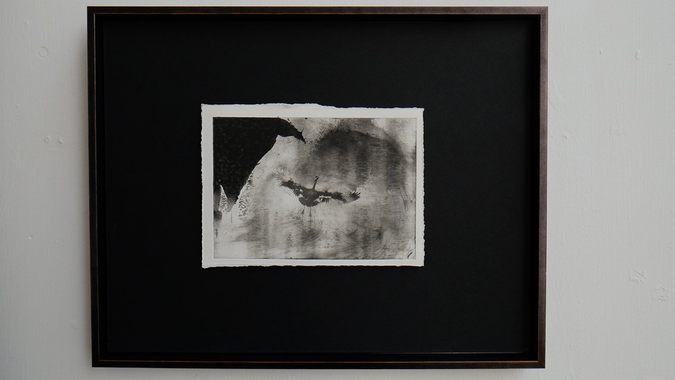 gallery_thirteen.jpg