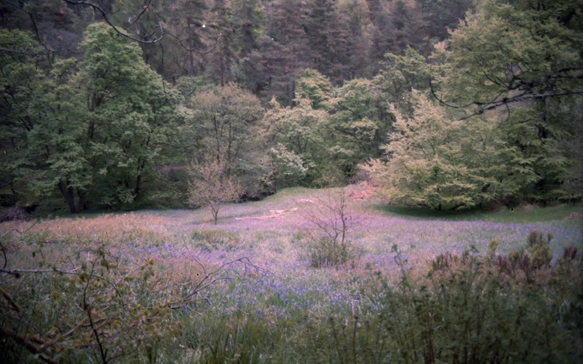 Hardcastle Craggs.jpg