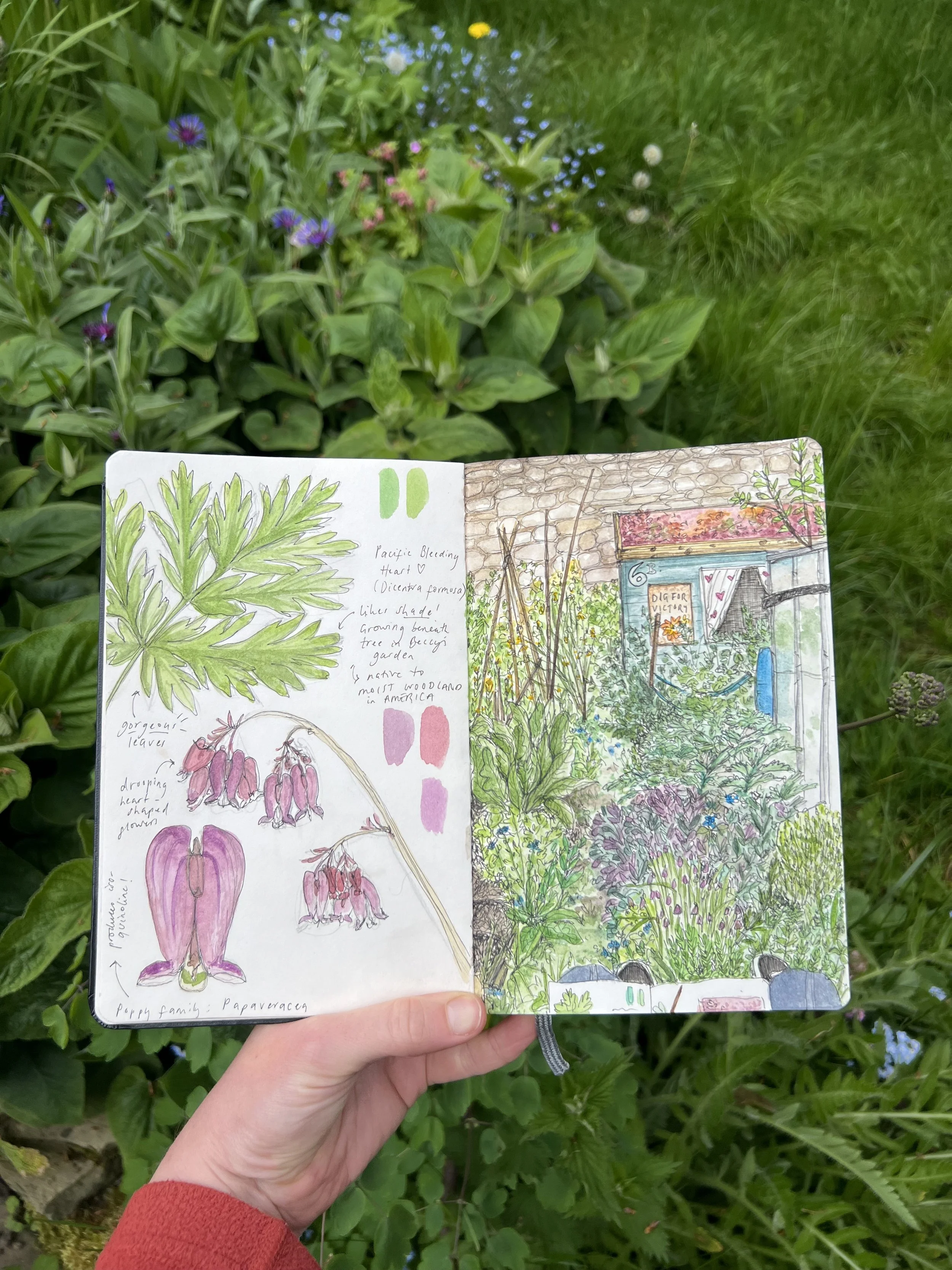 Nature Notebook 2.jpeg