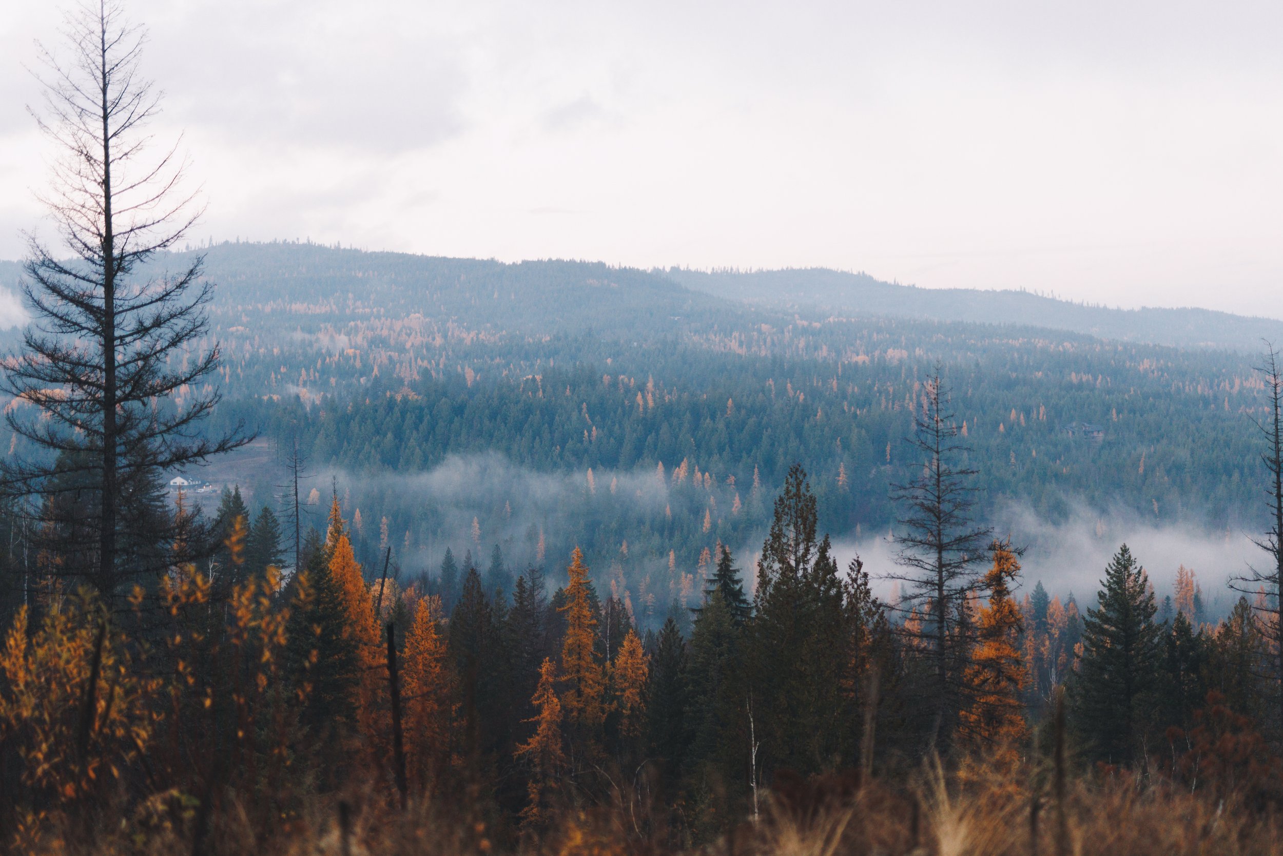 Health Insurance in North Idaho: What Local Families Should Know