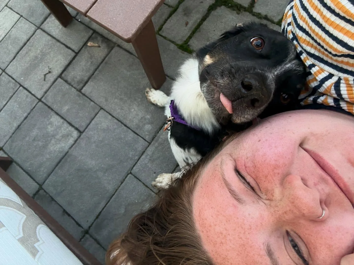 &ldquo;Personal space&rdquo;? Hard pass. ✋  This song is exactly what I picture plays in Poppy&rsquo;s head all day. 
.
.
.
#velcrodog #stagefiveclinger #rumsonnj #middletownnj #redbanknj #tinytailsnj #monmouthcounty #jerseyshore #dogsofnj