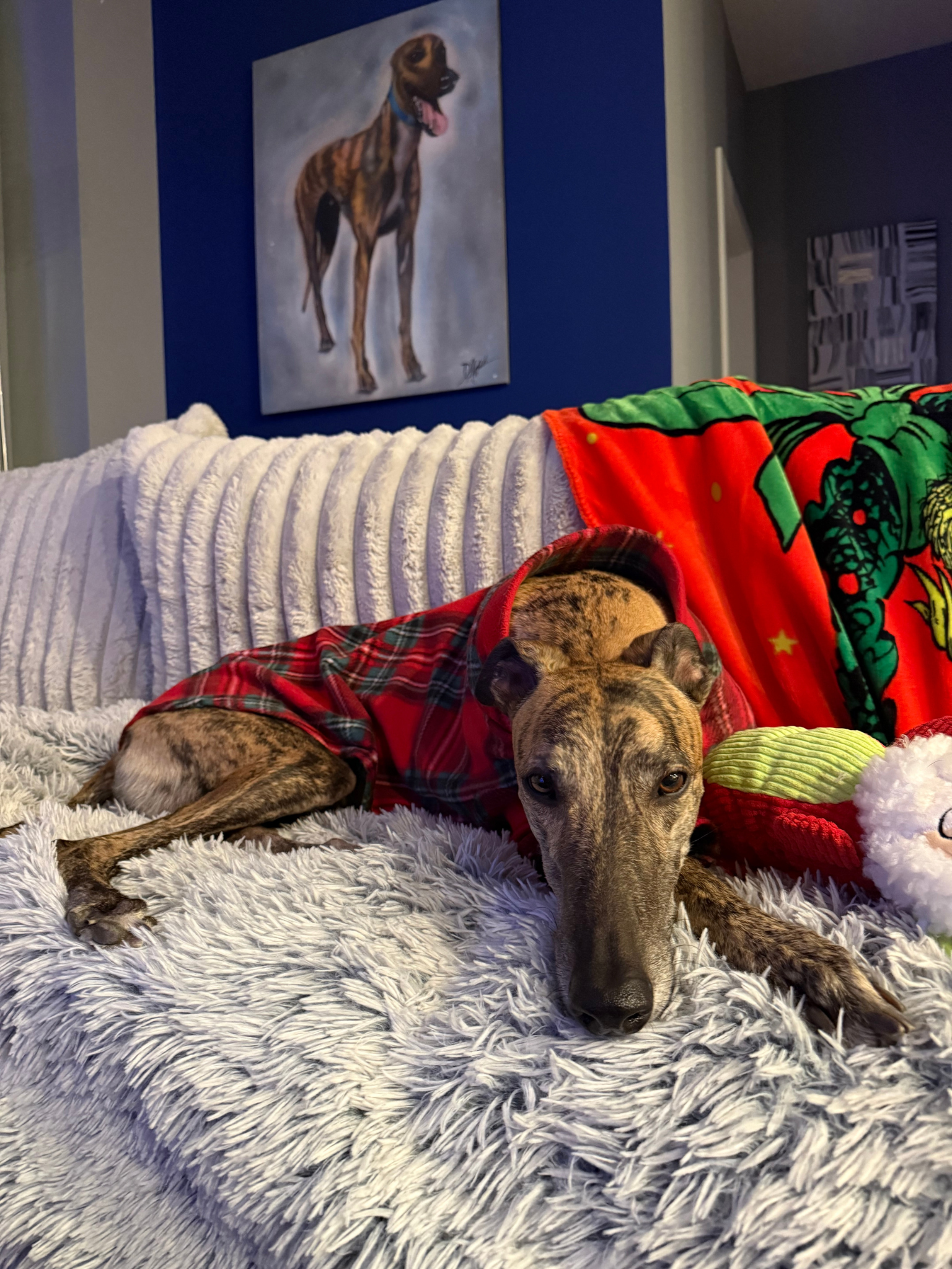 A brindle greyhound lays on a couch in his pajamas, with a portrait of himself behind him