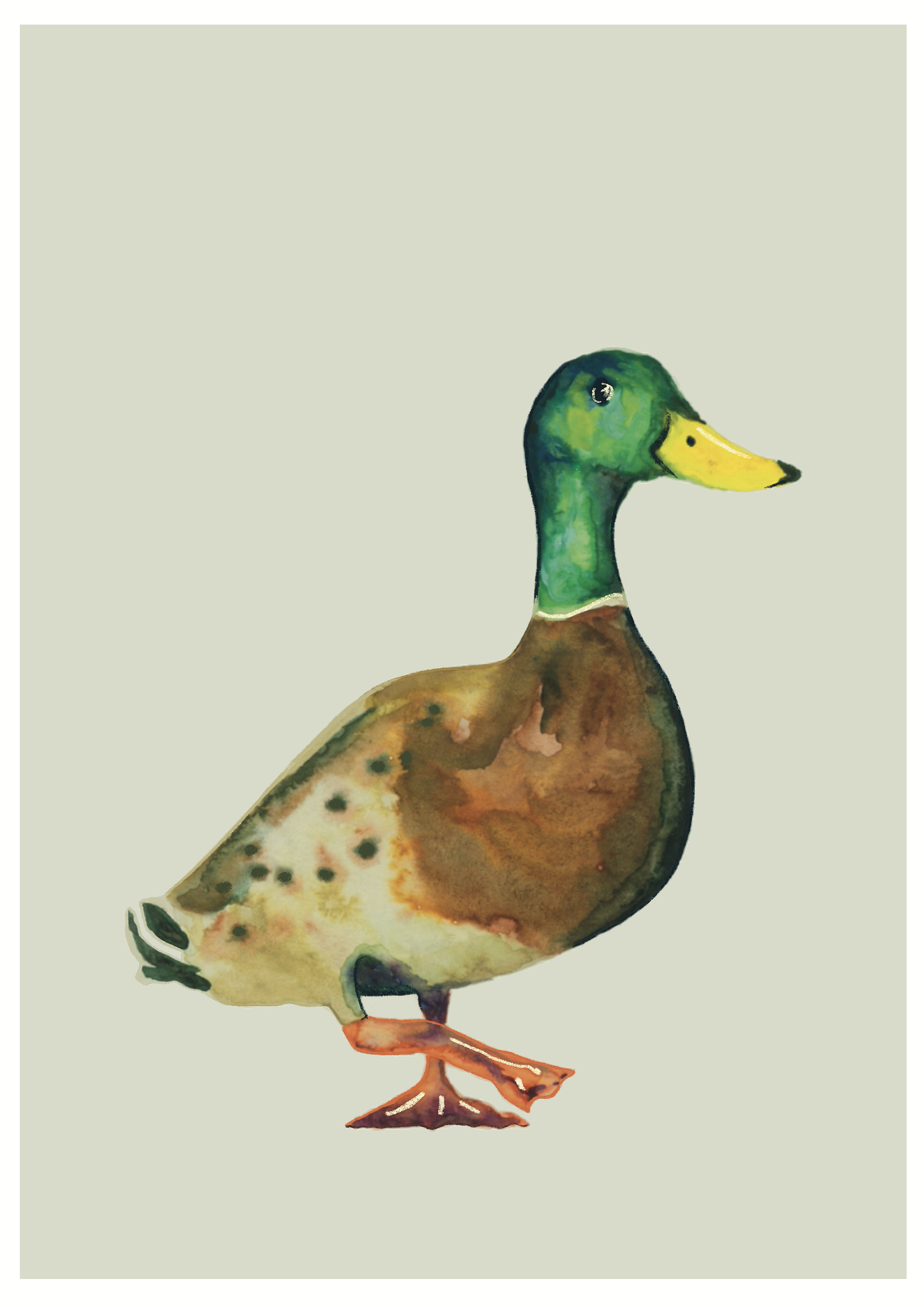 Untitled_Artwork (12).png