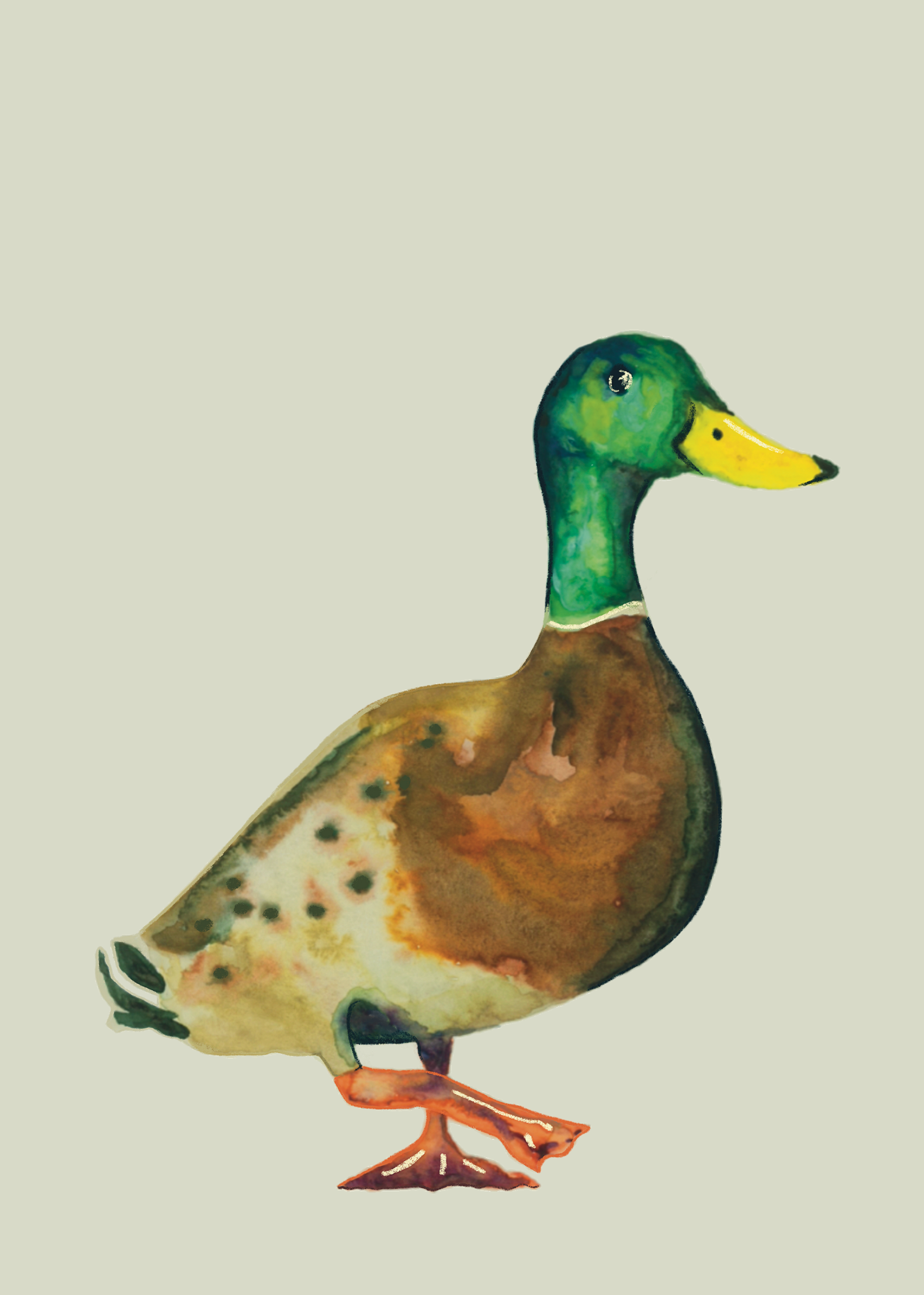 Untitled_Artwork+%2812%29.png