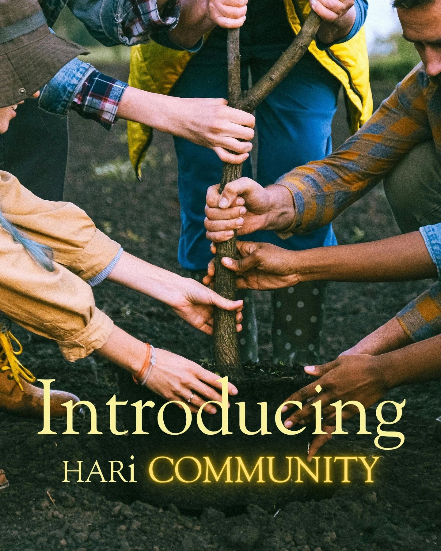 I am SO excited (and a little nervous!) to announce the beginning of a new aspect to my business - HARi Community 🌿 

Whilst HARi Designs covers my craft, HARi Community is opening things up and holding space for wider change.

I'm so pleased to say