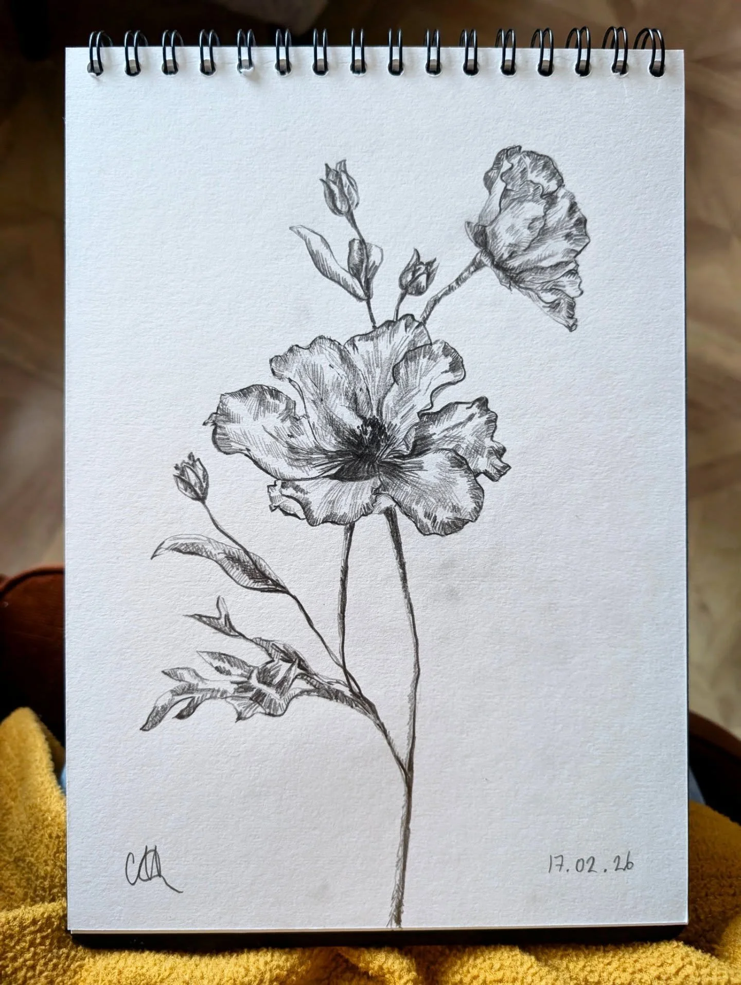 Day 9

A quick sketch today in between half term madness 🌸✏️

#dailydraw