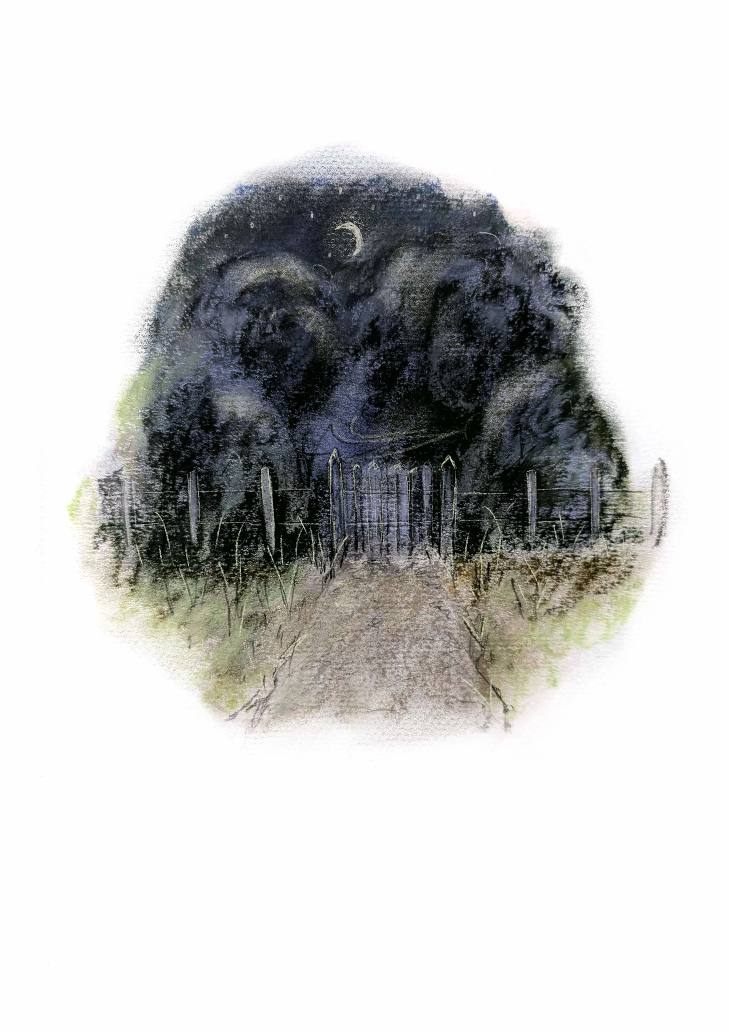'Blight' - P1
'Neglected for many years, the path into the woods was blighted by overgrown brambles and vines. The Lady see's a flash of a figure as it disappears into the undergrowth'