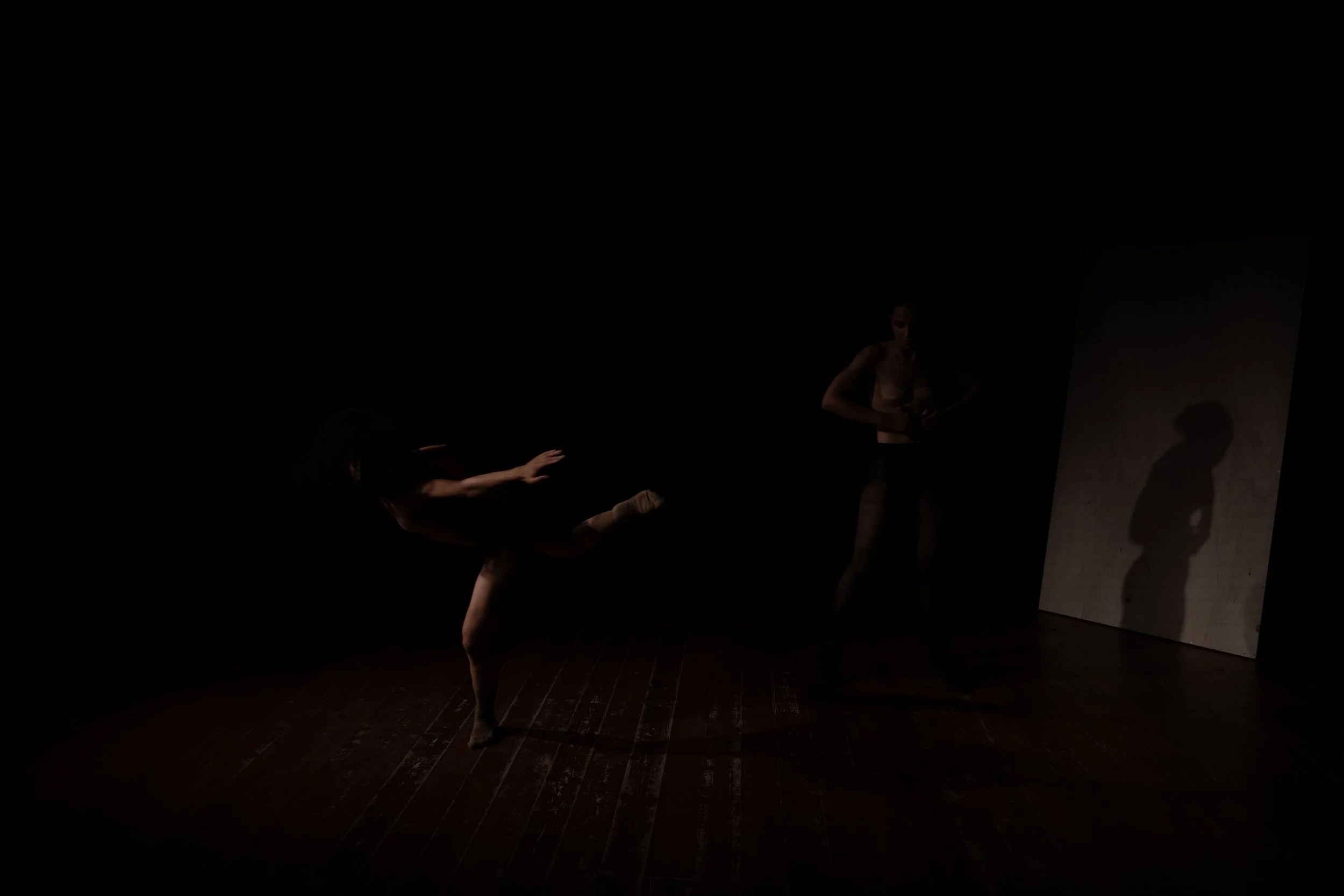 _DSC6338.jpeg
