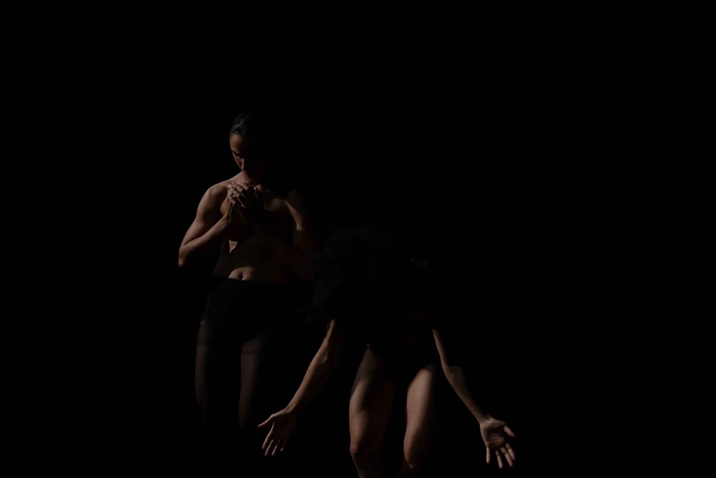 _DSC6427.jpeg