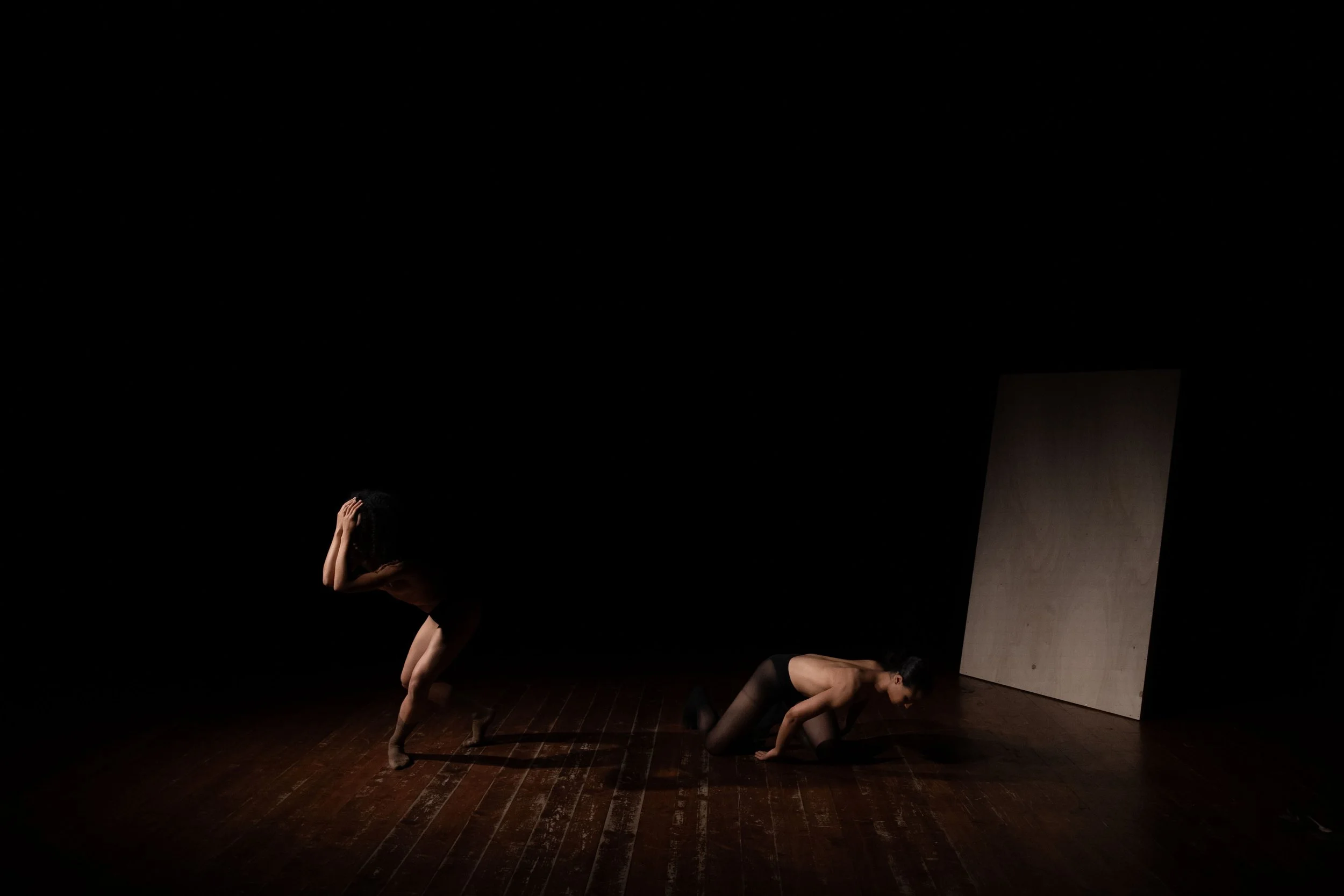 _DSC6373.jpeg