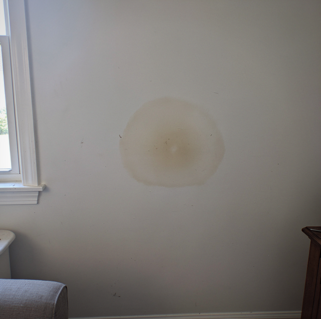 Signs of Water Damage Behind Walls or Siding: What Your Home Is Telling You