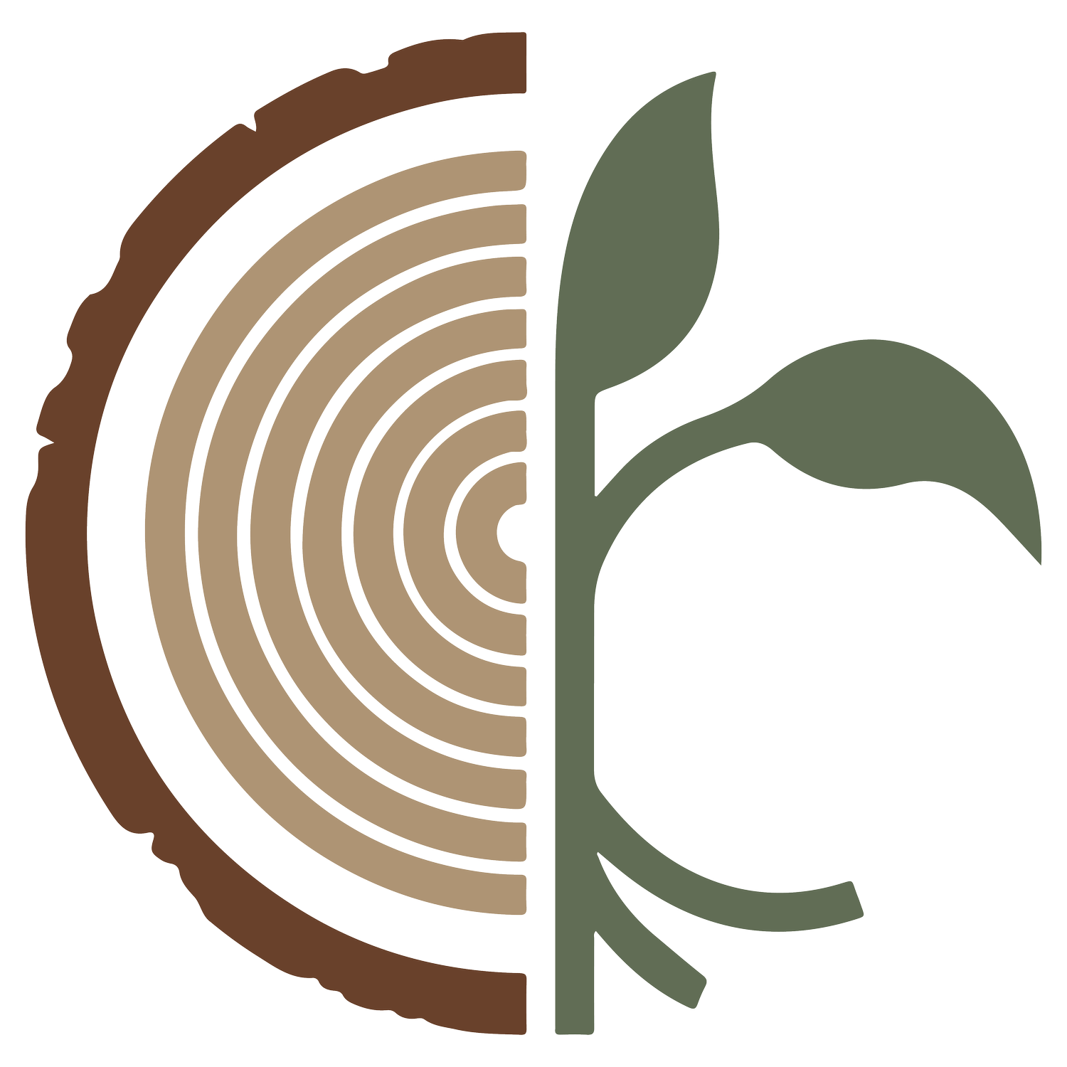 The All Our Kin Collective