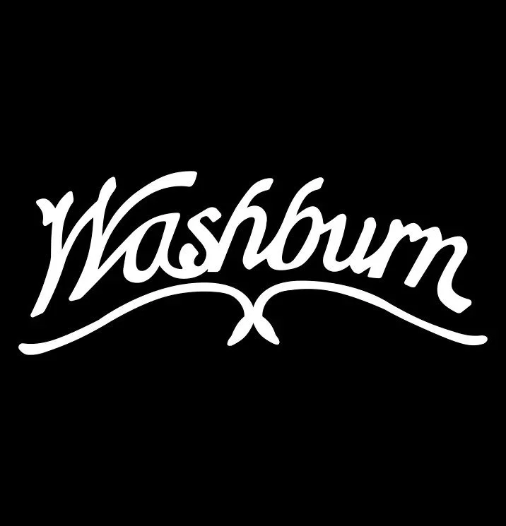 Washburn Guitars