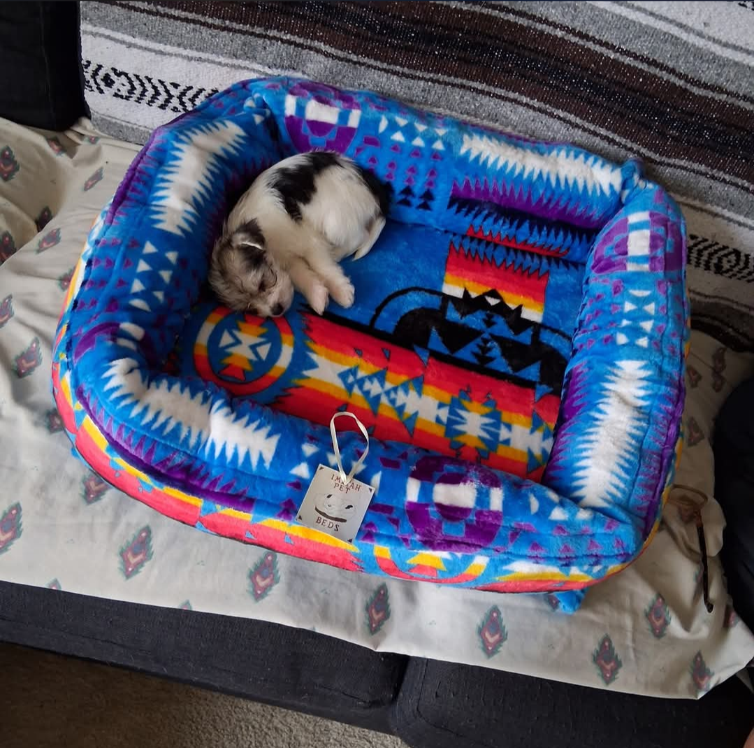 pupJuly2026.png