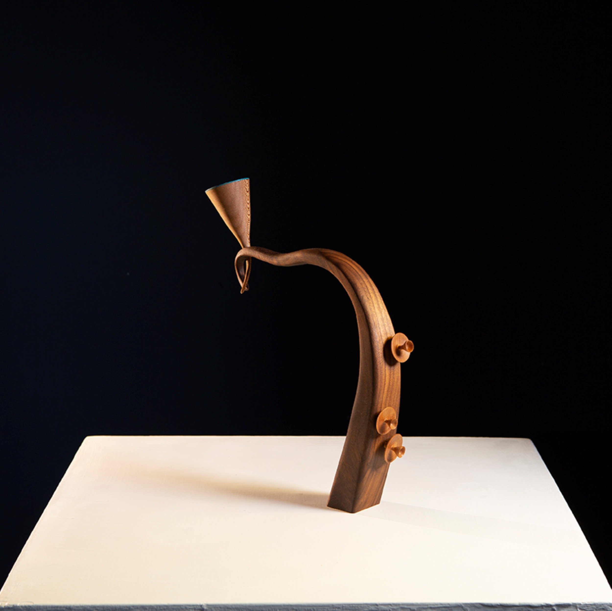 Louise Wilde - 'Persistence'