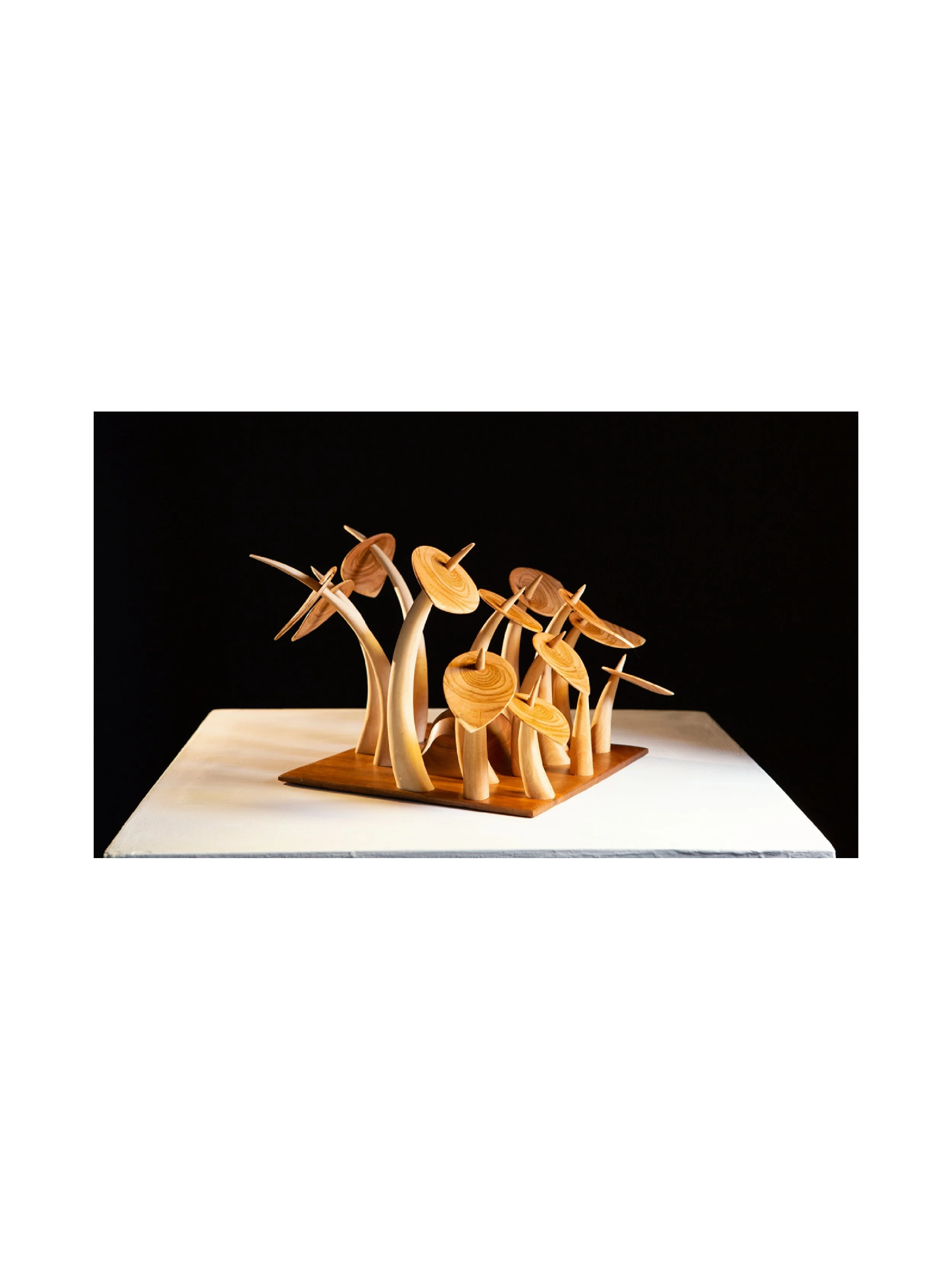 New Project (82).jpg