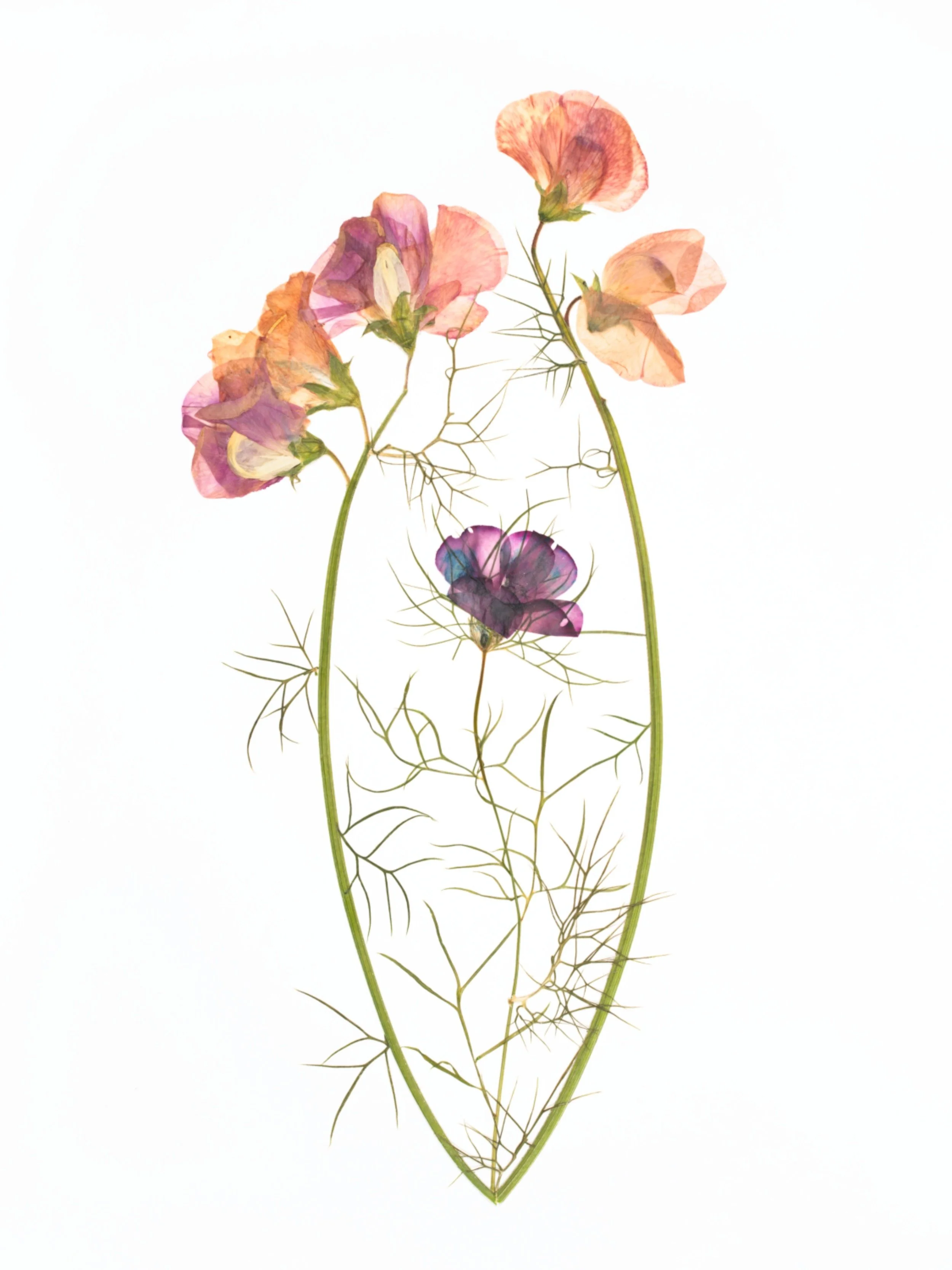 Held - Katie Byrne (1) (1).jpg