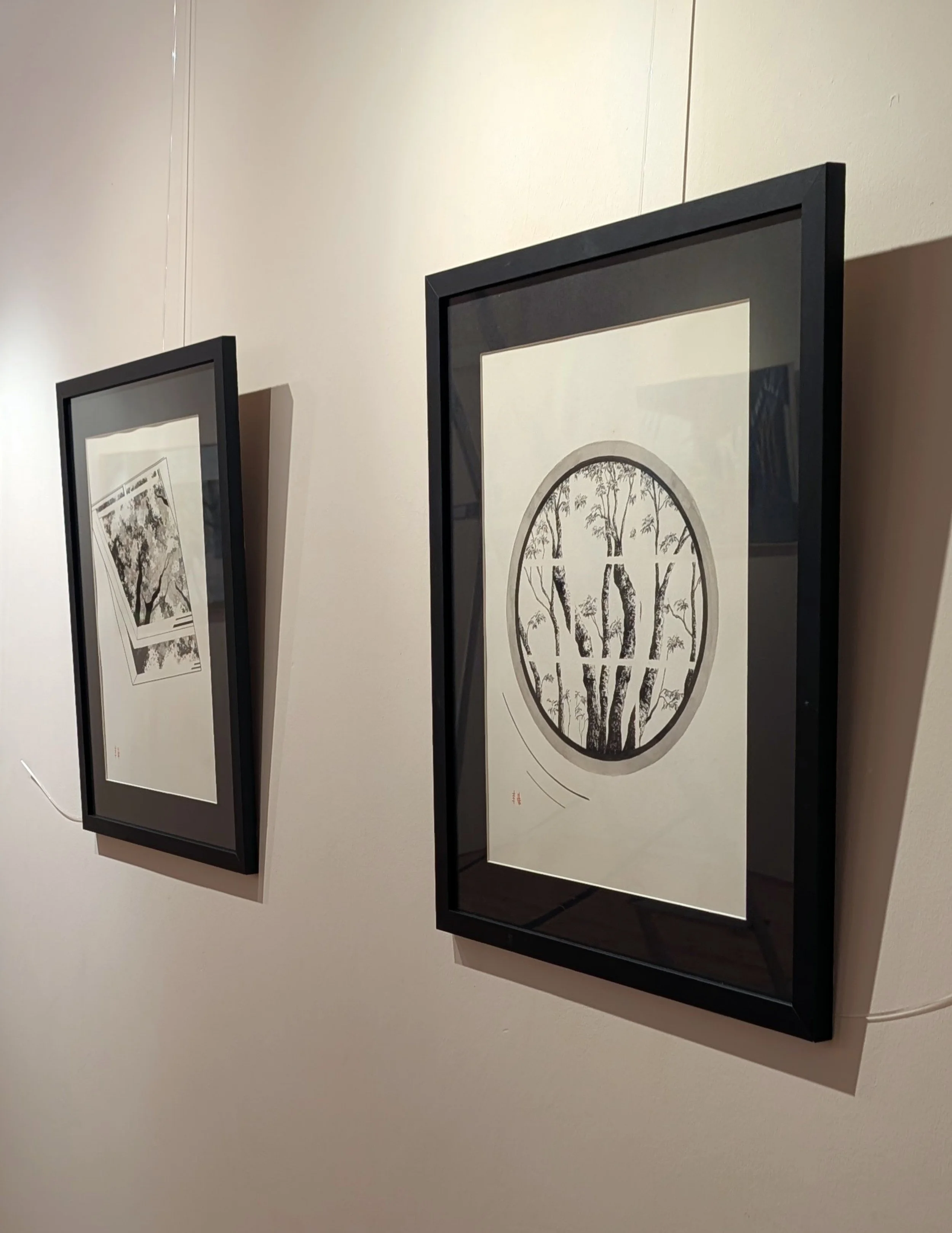 PXL_20260208_173221840.MP (1) (1).jpg