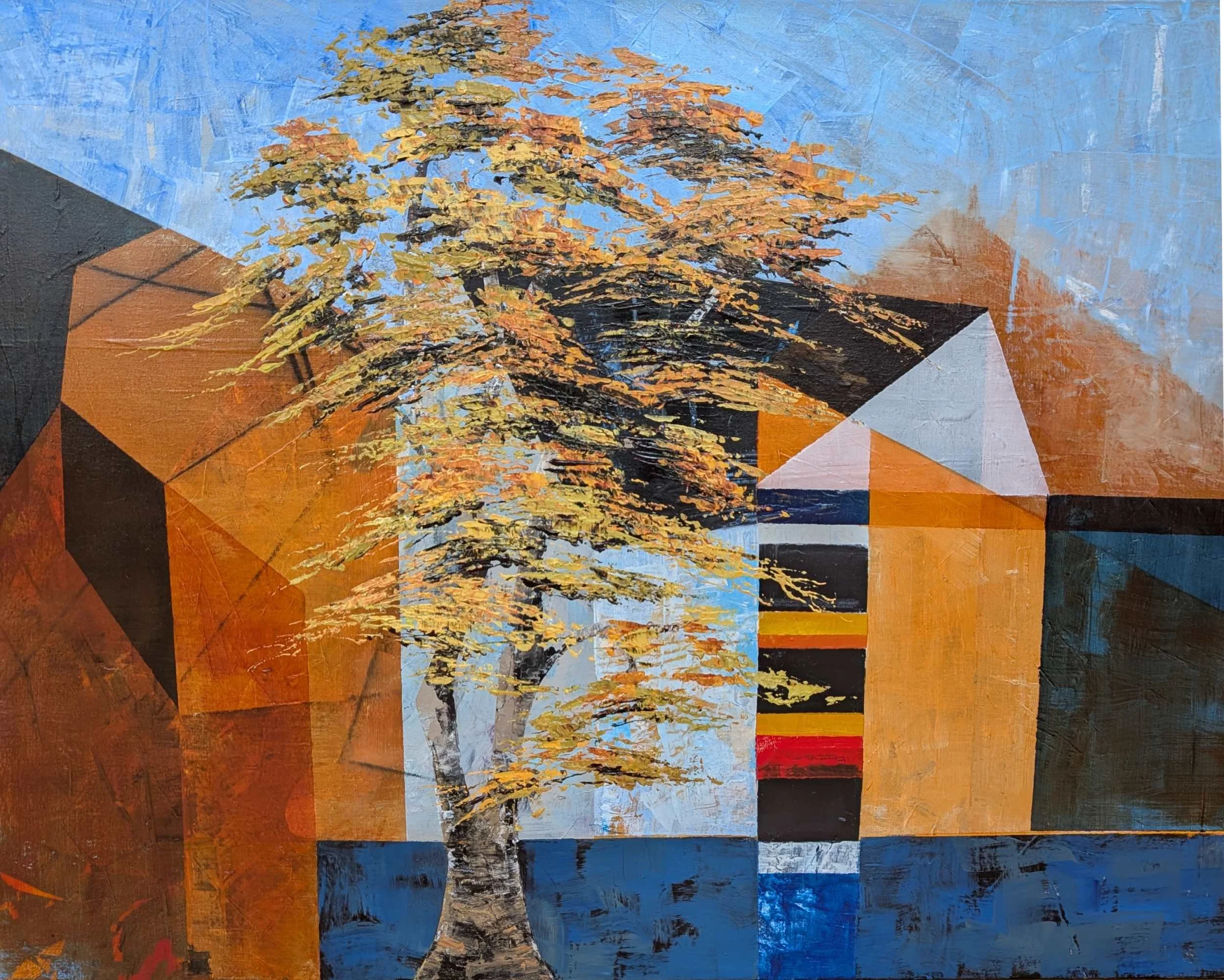 PXL_20260125_123533009.RAW-01.MP.COVER (2).jpg