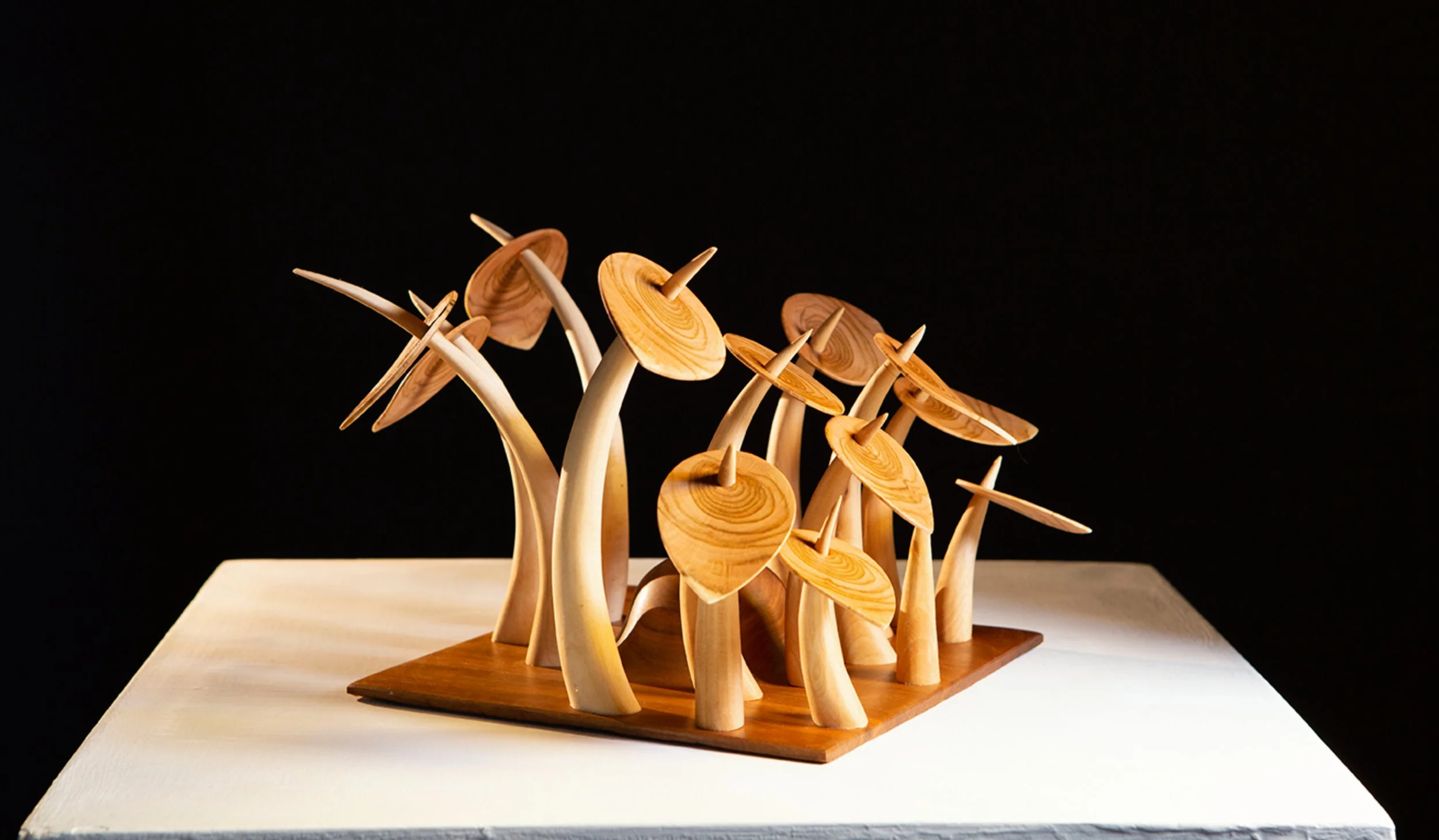 Louise Wilde - 'Abundance'