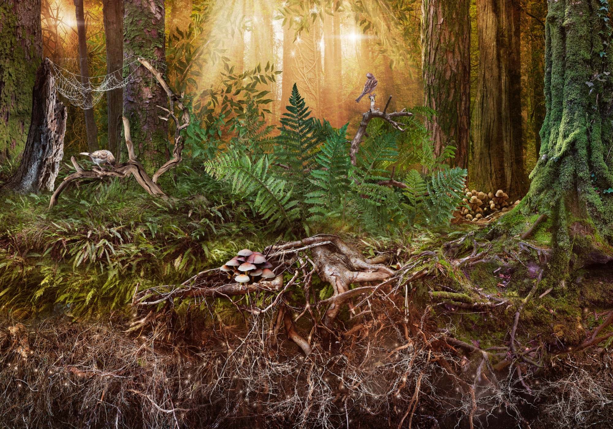 World Wide Web - 70 x 100 cm €2200