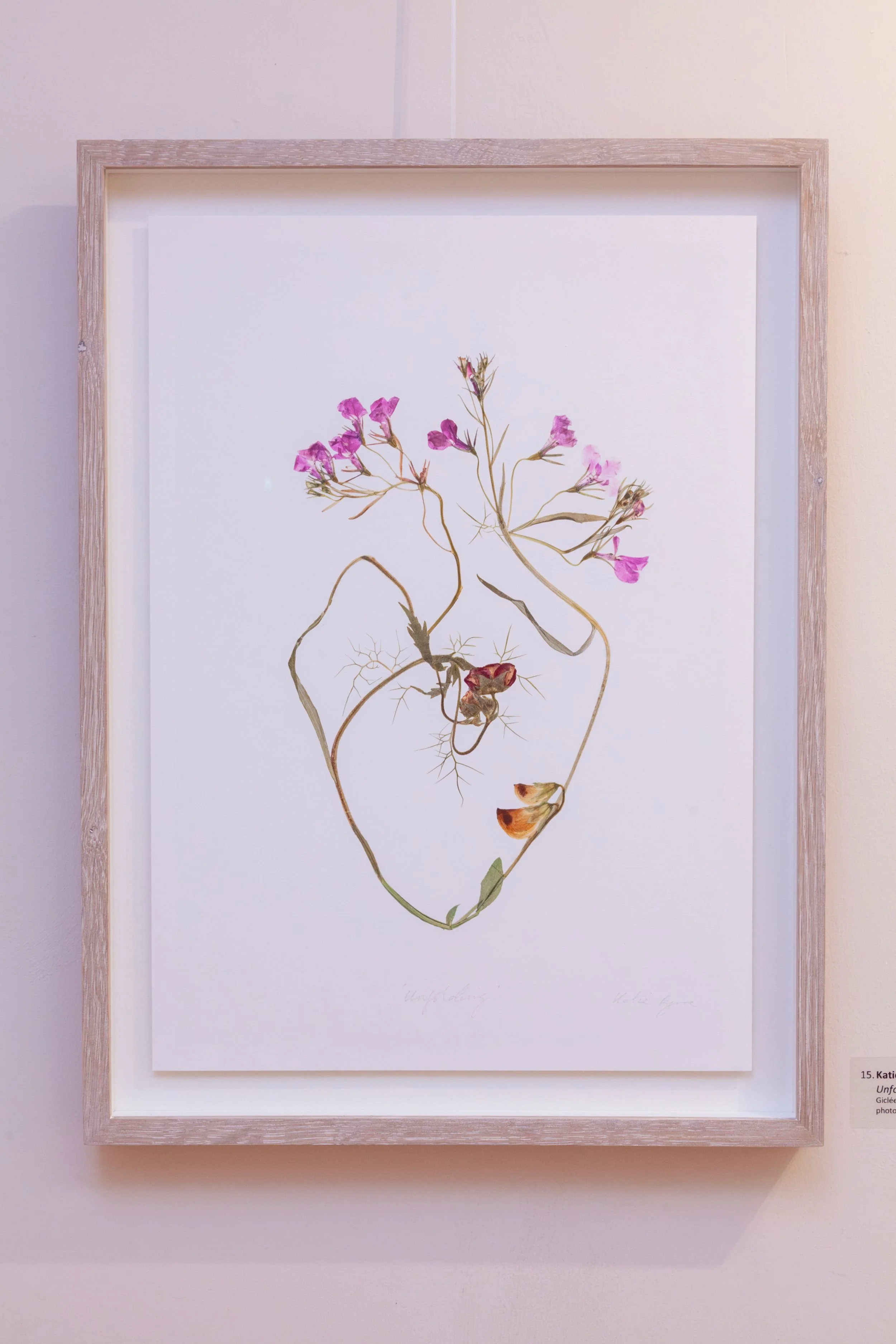 Changing Natures - 15.jpg