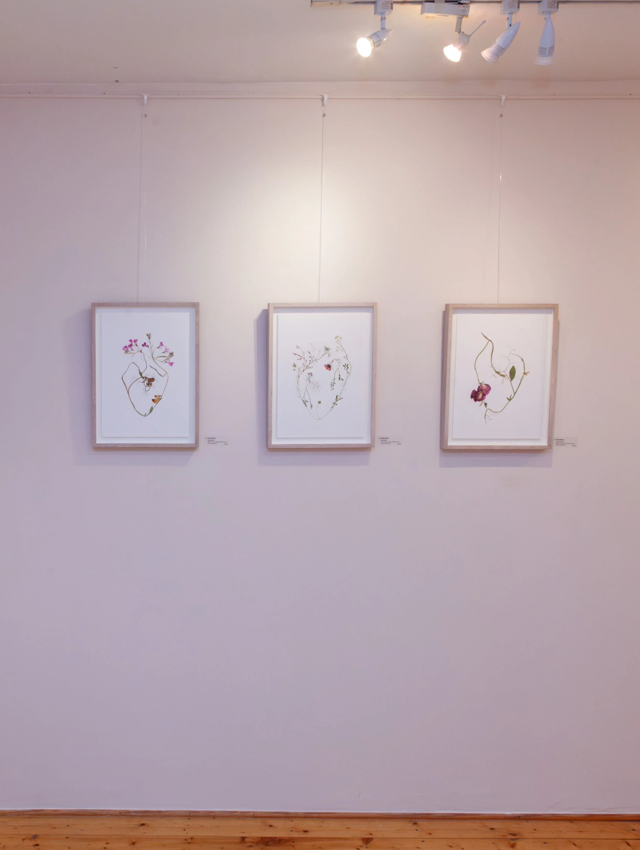 Changing Natures - 42.jpg