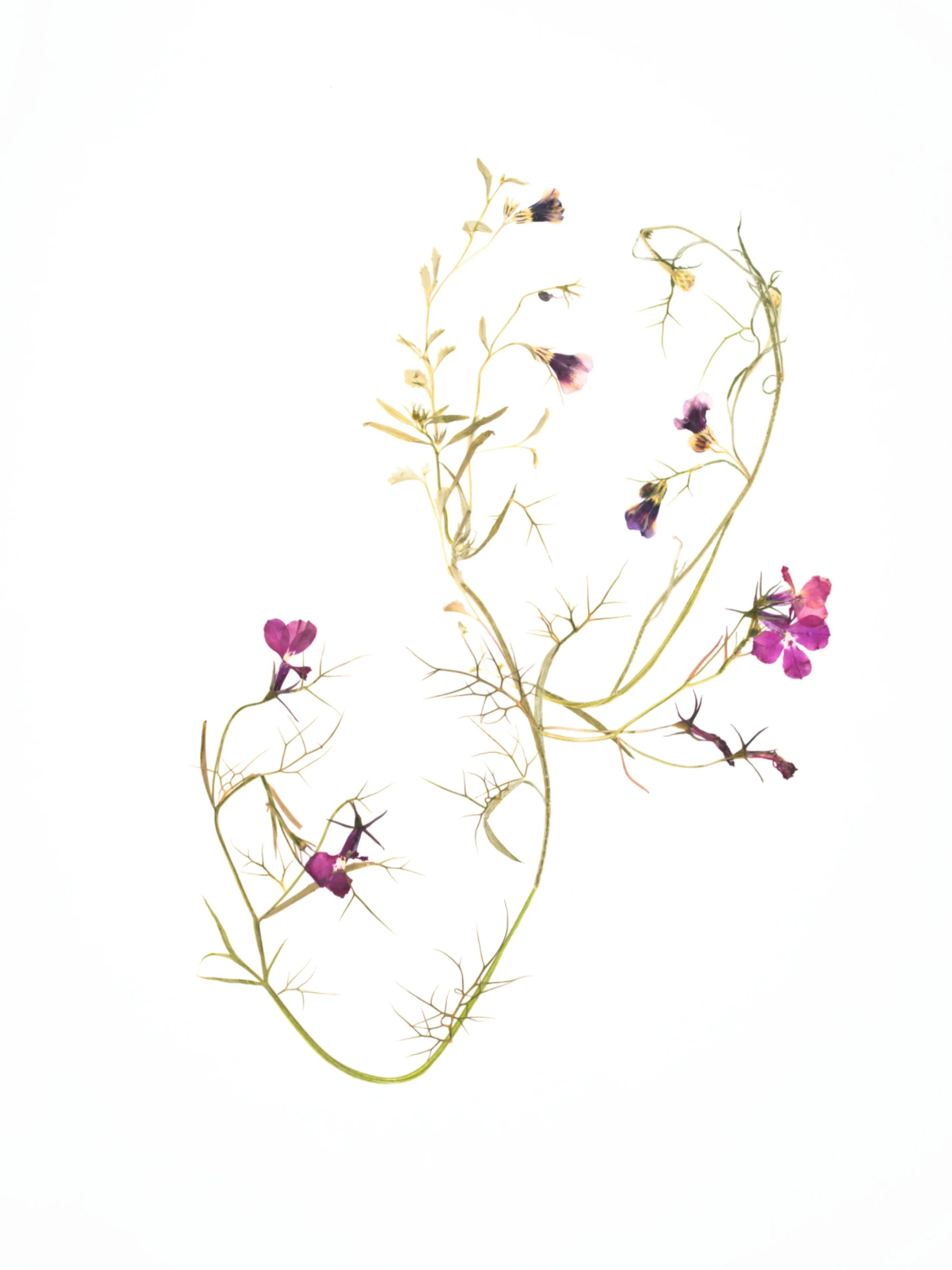 Heart to Heart - Katie Byrne (2).jpg