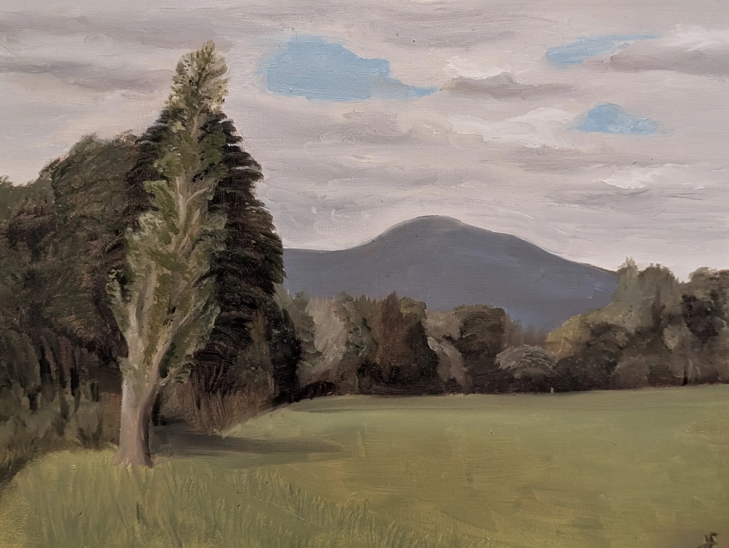 Janet Fogarty 'Slievenamon from Marlfield' - €100