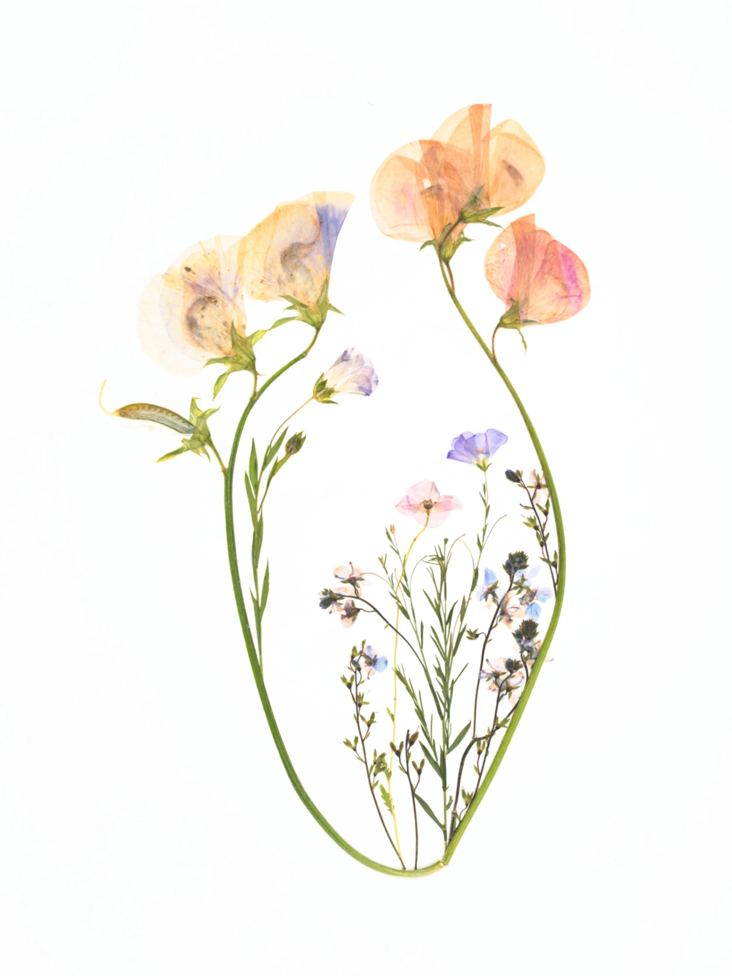 Heart Walled Garden - Katie Byrne (1) (1).jpg