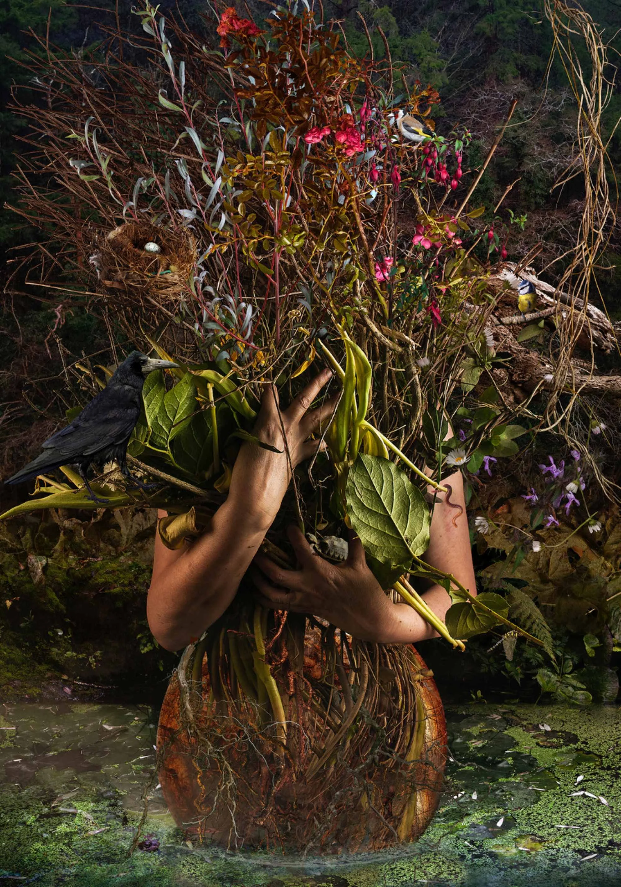 Christine Simpson - 'Portrait of the Artist  as an Eco Feminist'