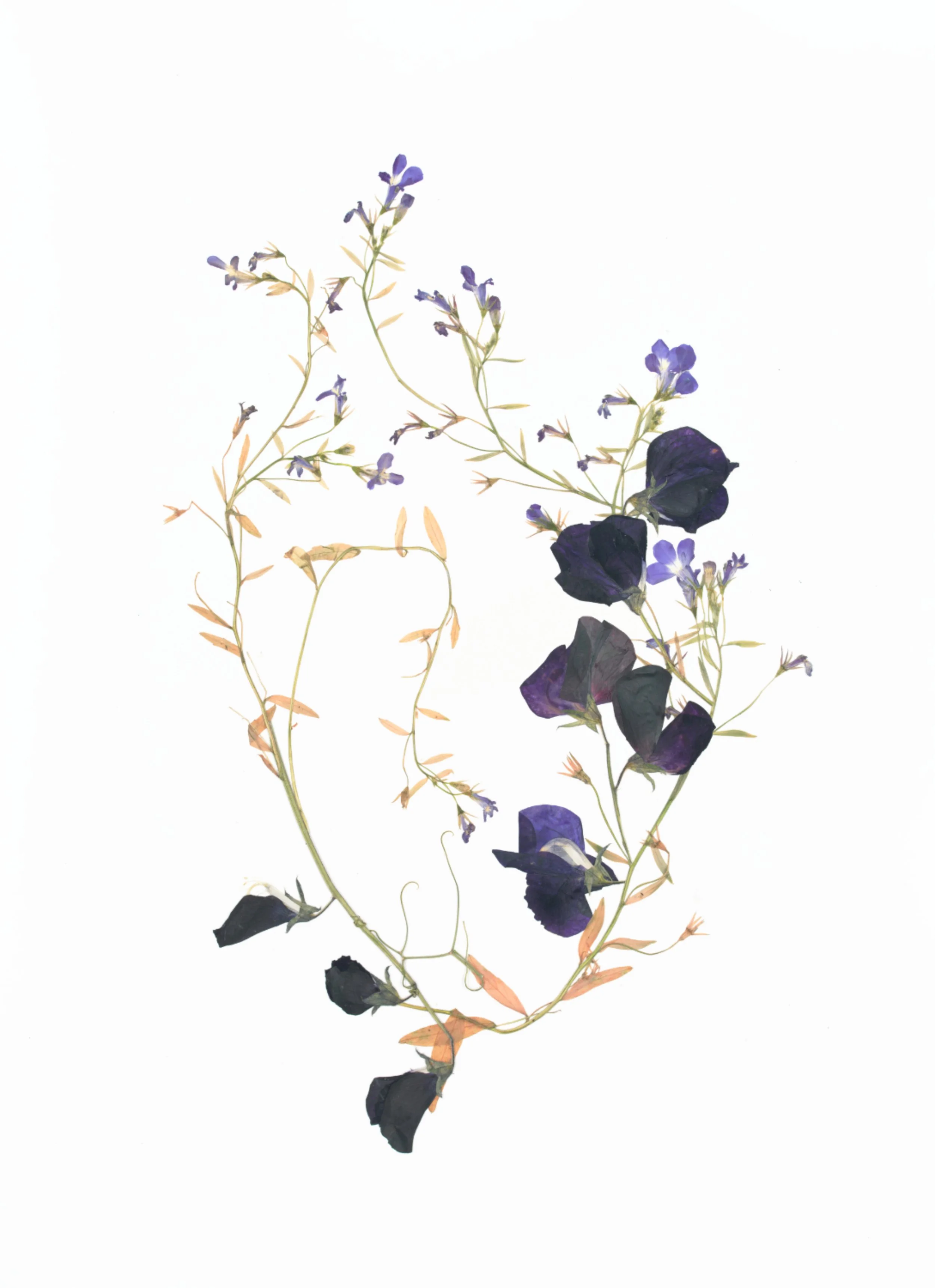 Heart Lines - Katie Byrne (1).jpg