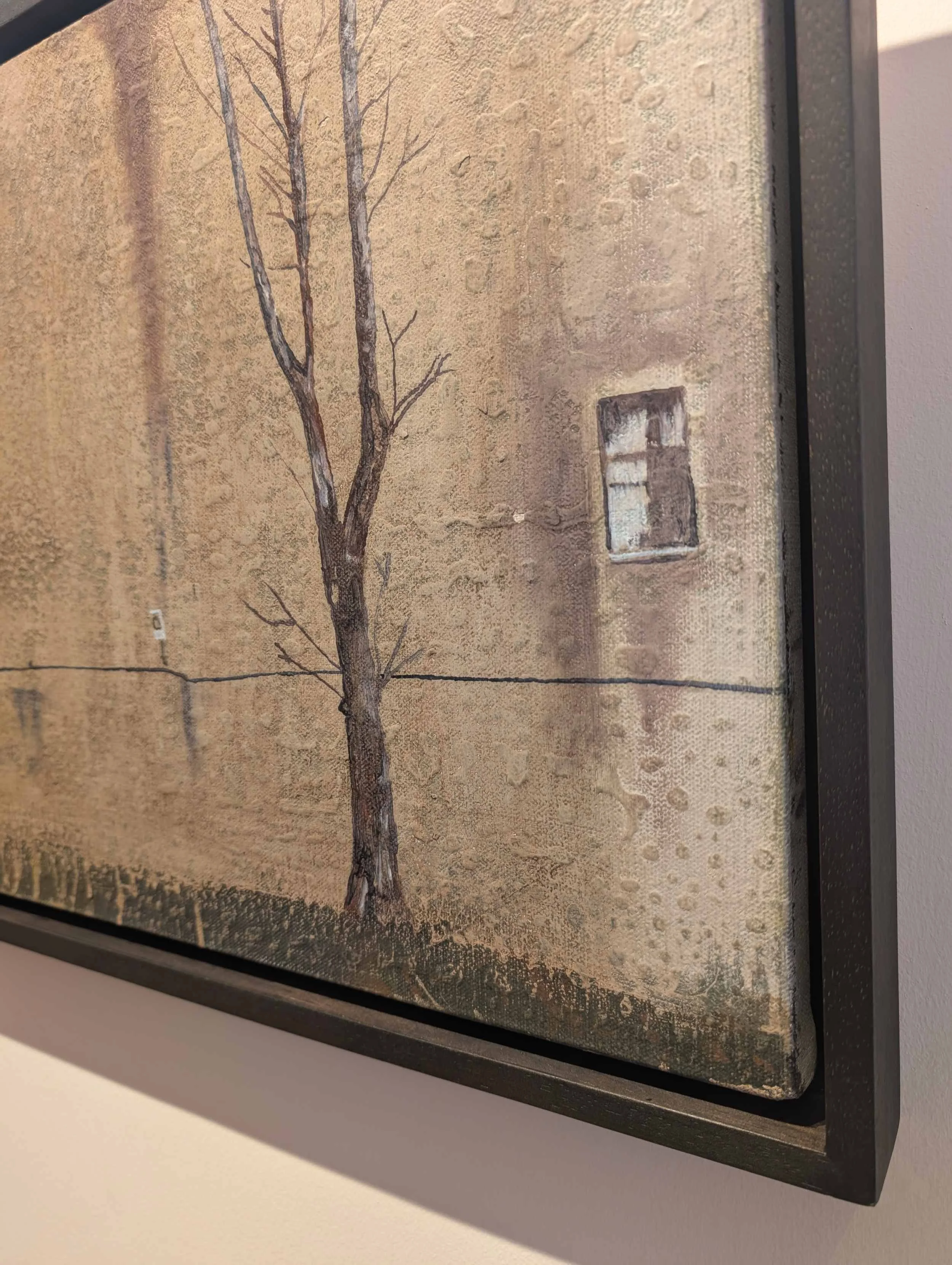 PXL_20260218_123942863.MP (1).jpg