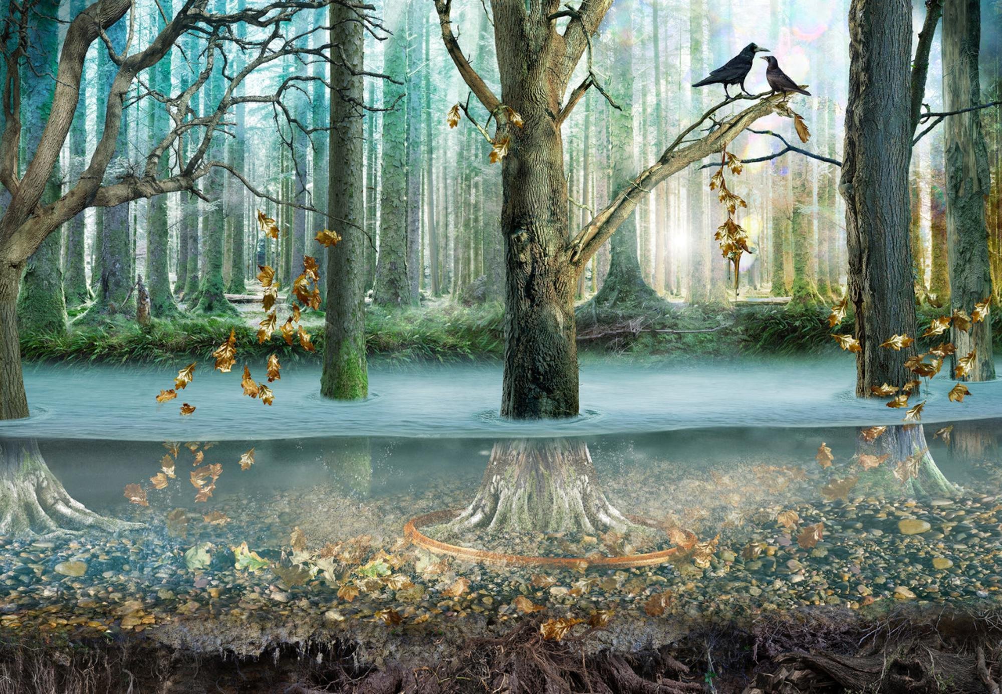 Forgotten Forests - 90 x 130 cm €2900
